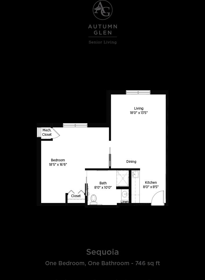 Dimensions are approximate. Floor plans may vary.