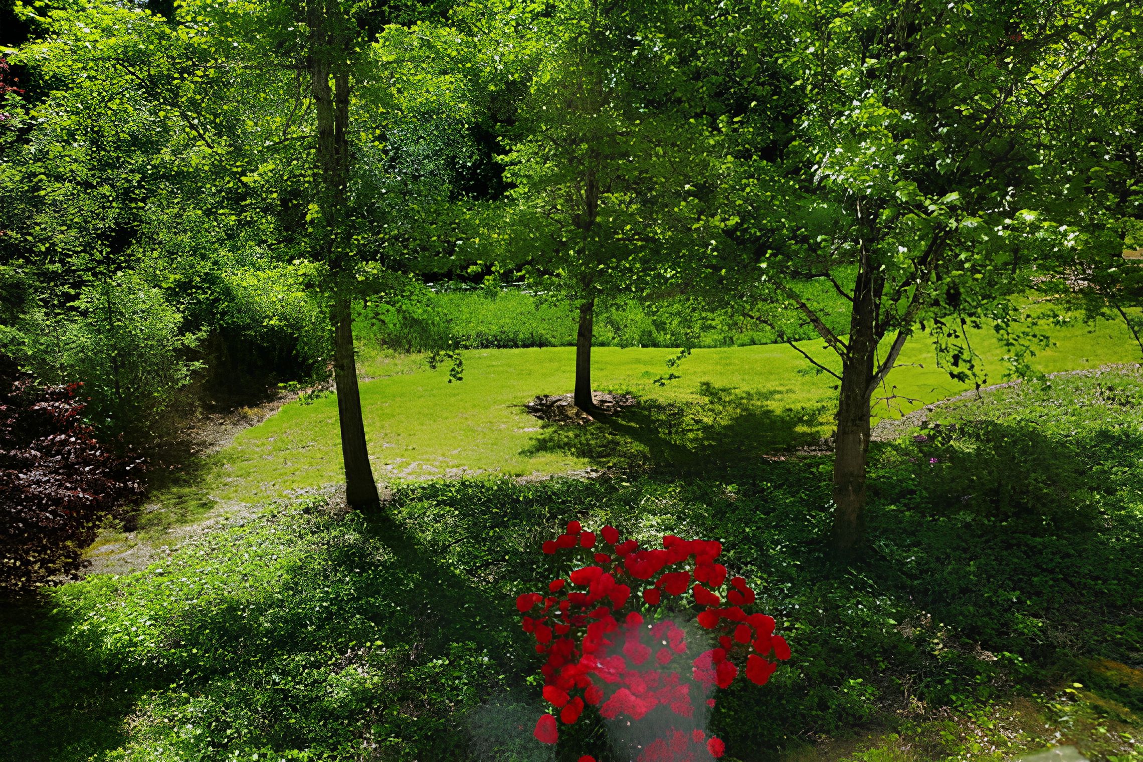 Avamere At Park Place 4