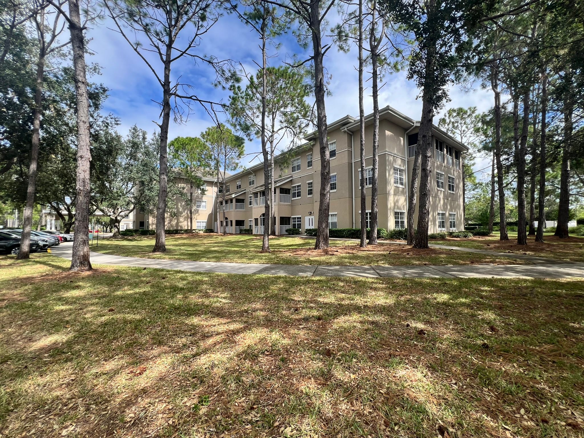 The Residence At Timber Pines Senior Living 2