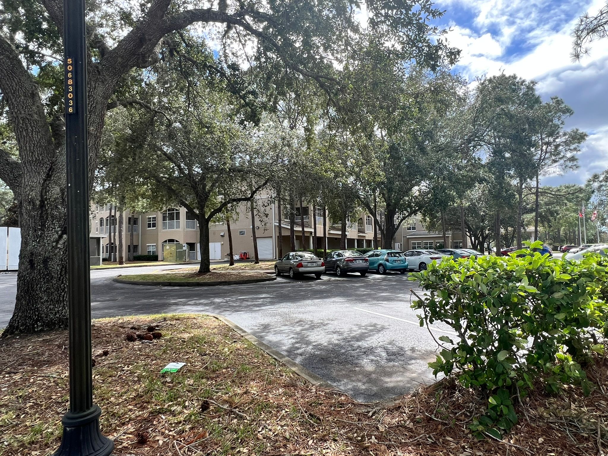 The Residence At Timber Pines Senior Living 3