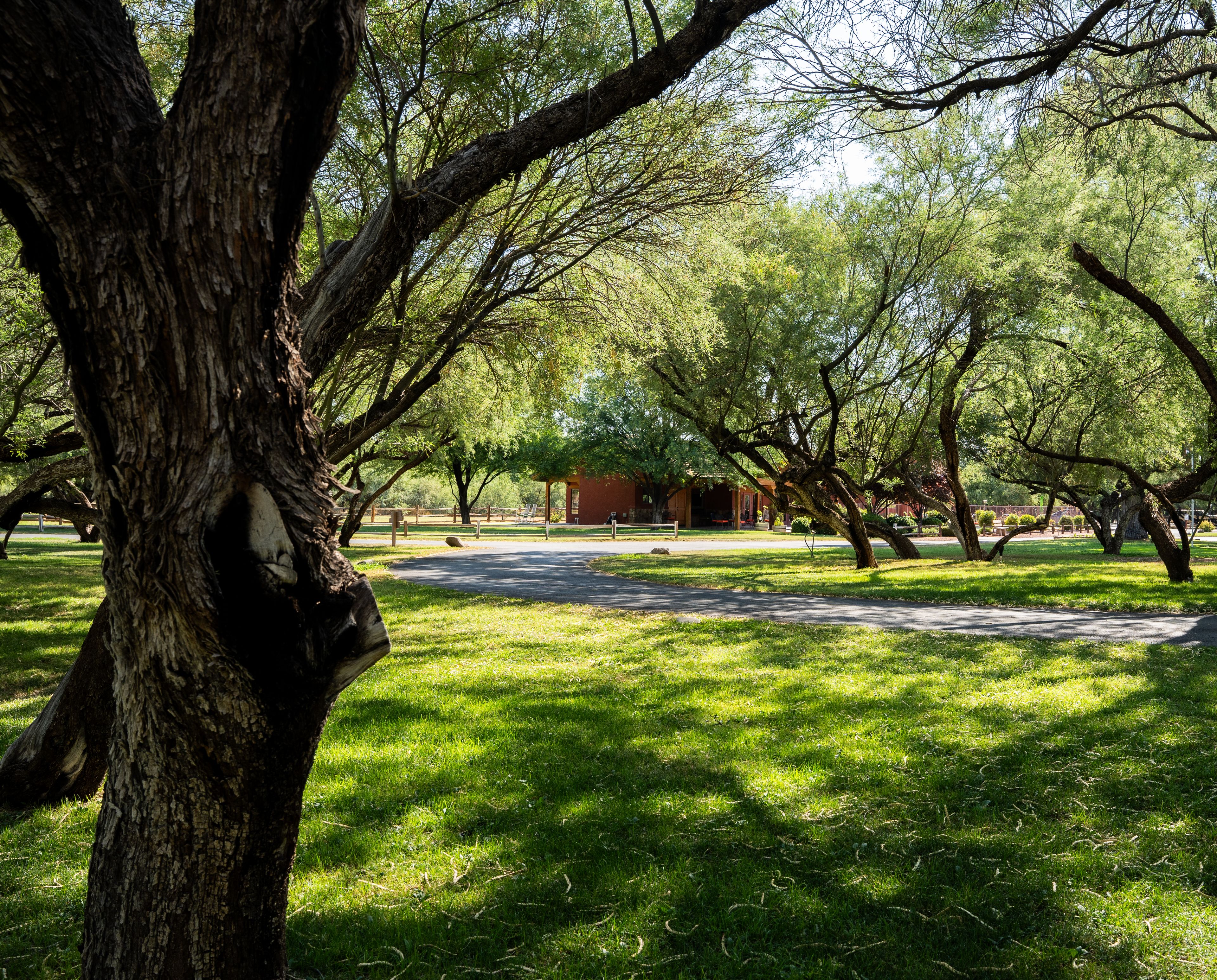 Rustic Ranch Senior Living 2