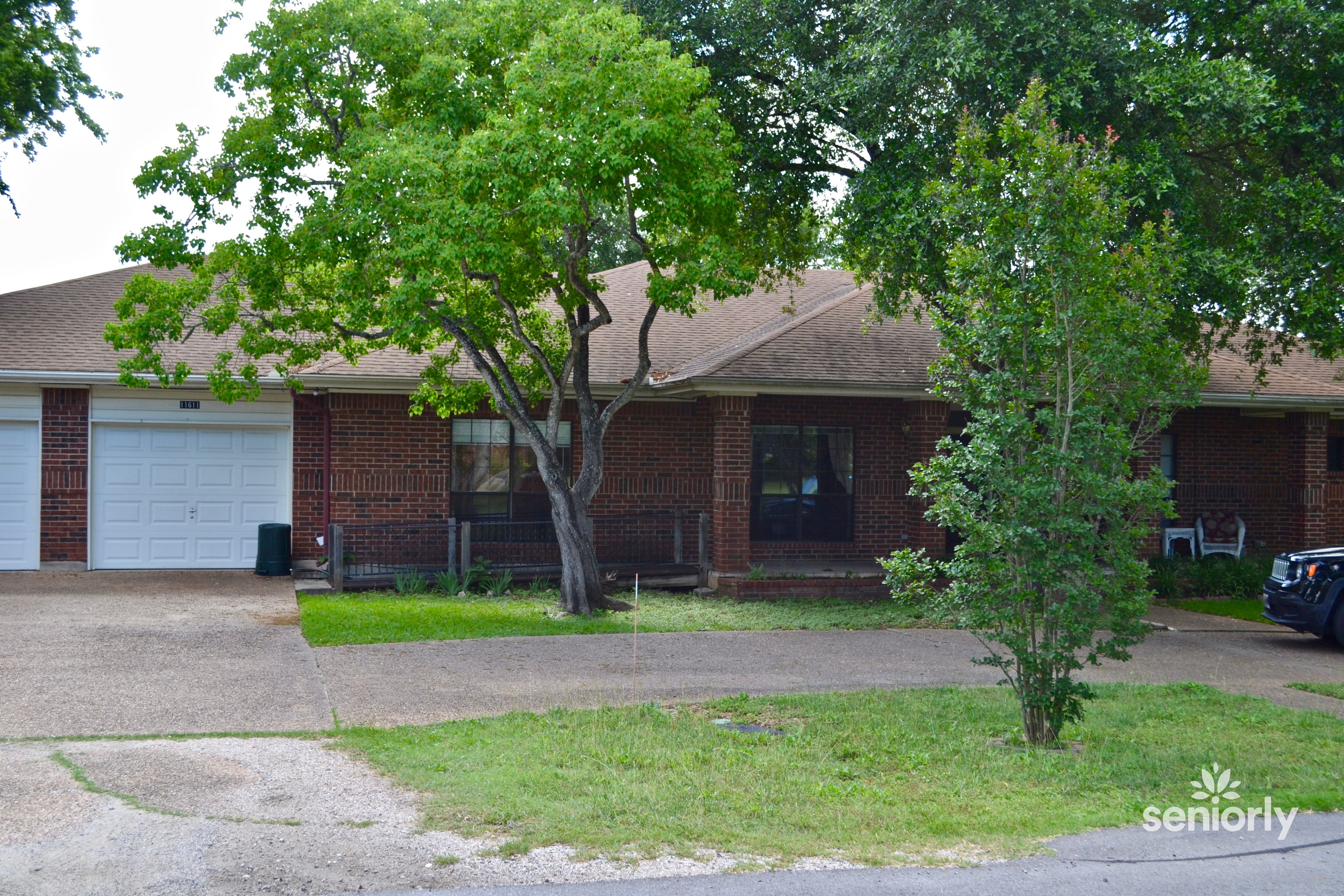 Live Oak Drive 1