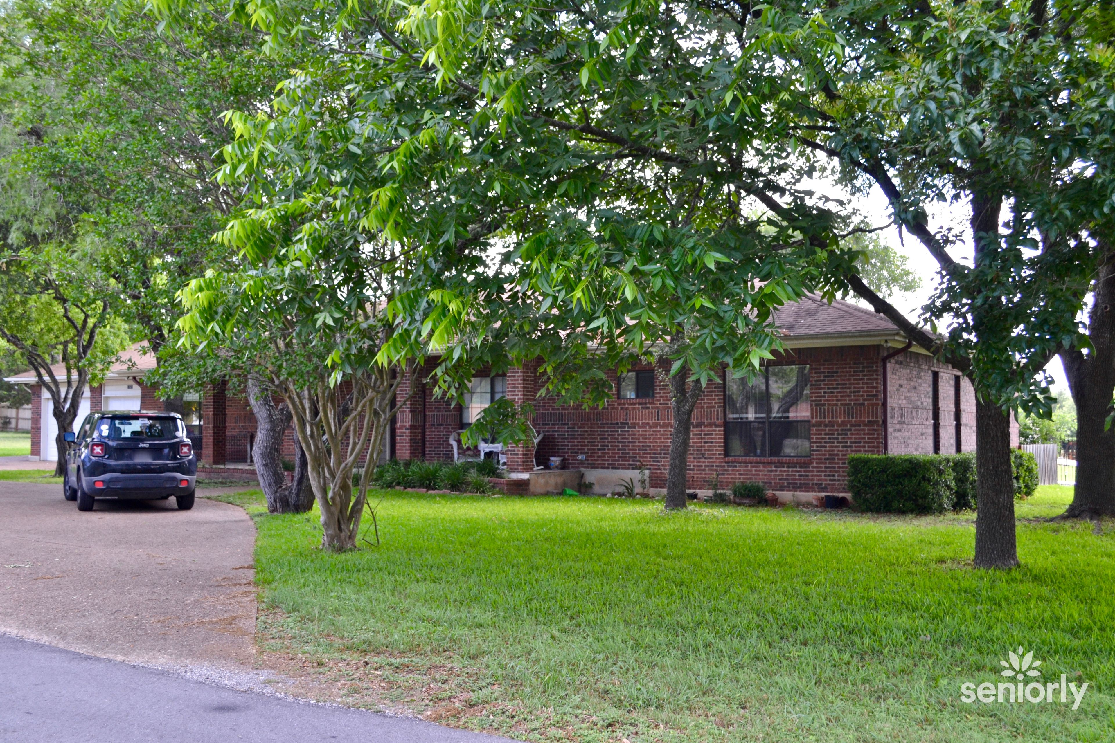 Live Oak Drive 2