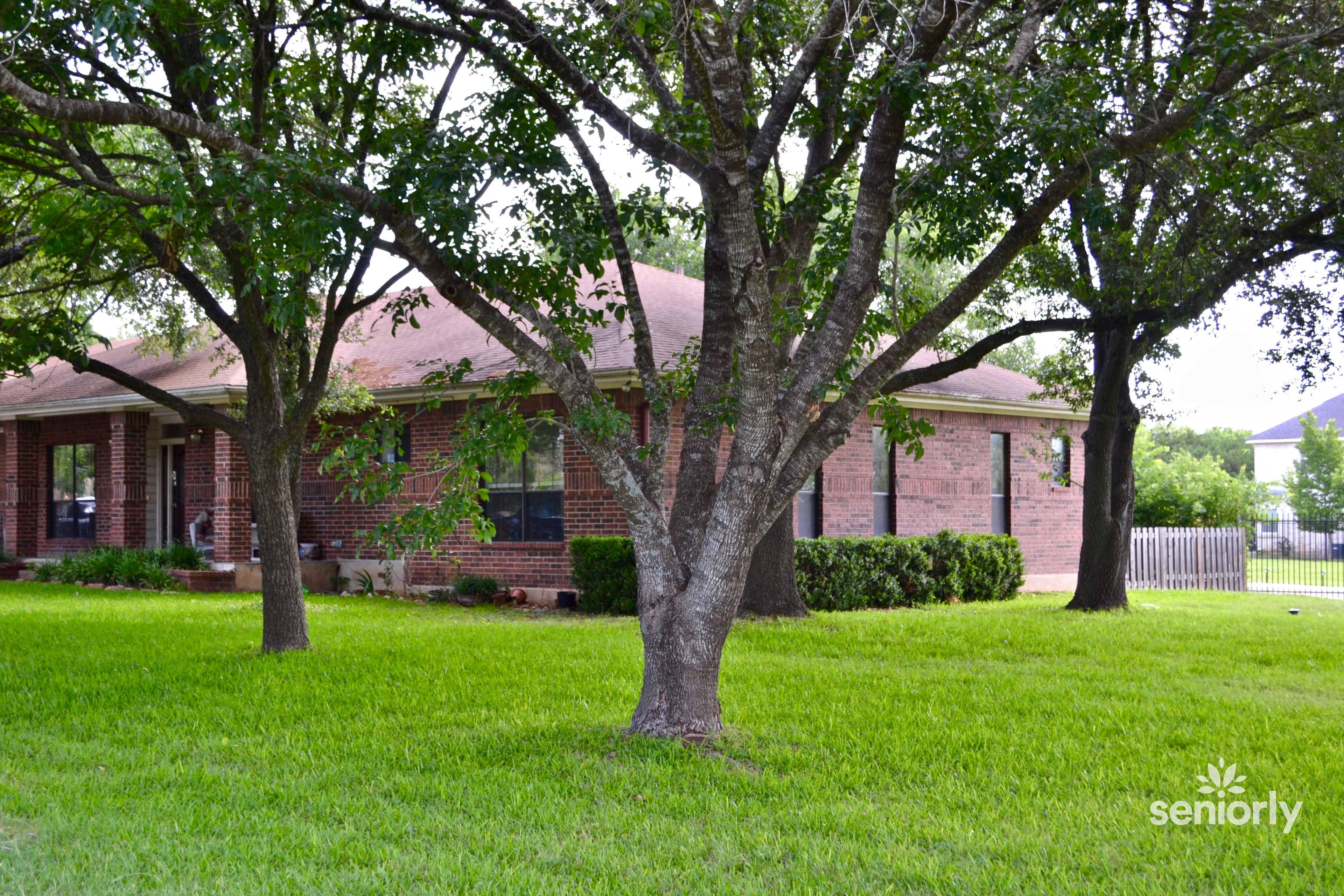 Live Oak Drive 3