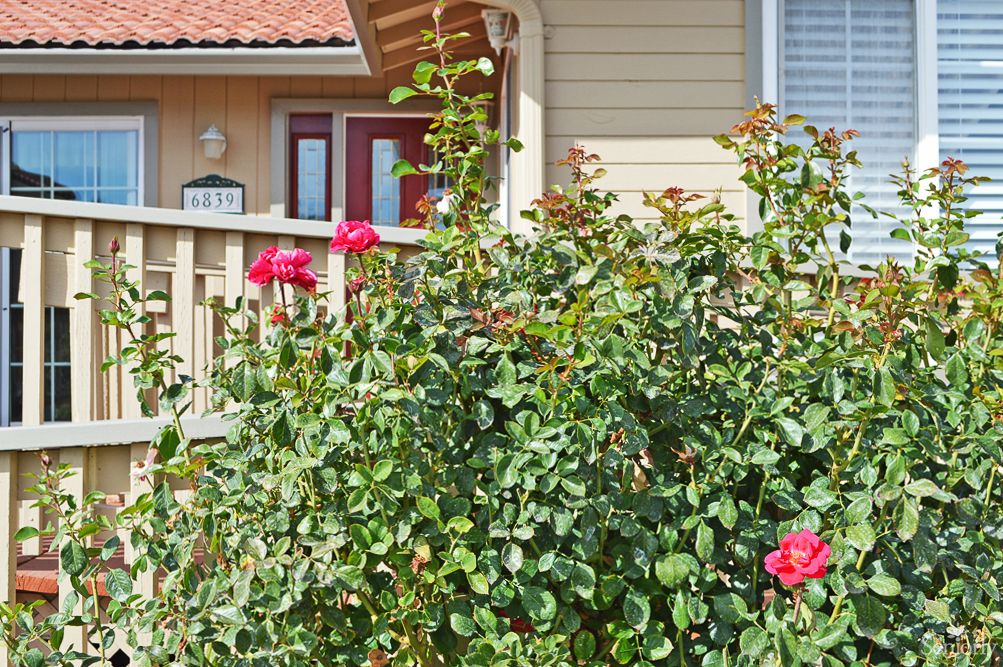 Welcome Home Senior Residence (Pleasanton) 3