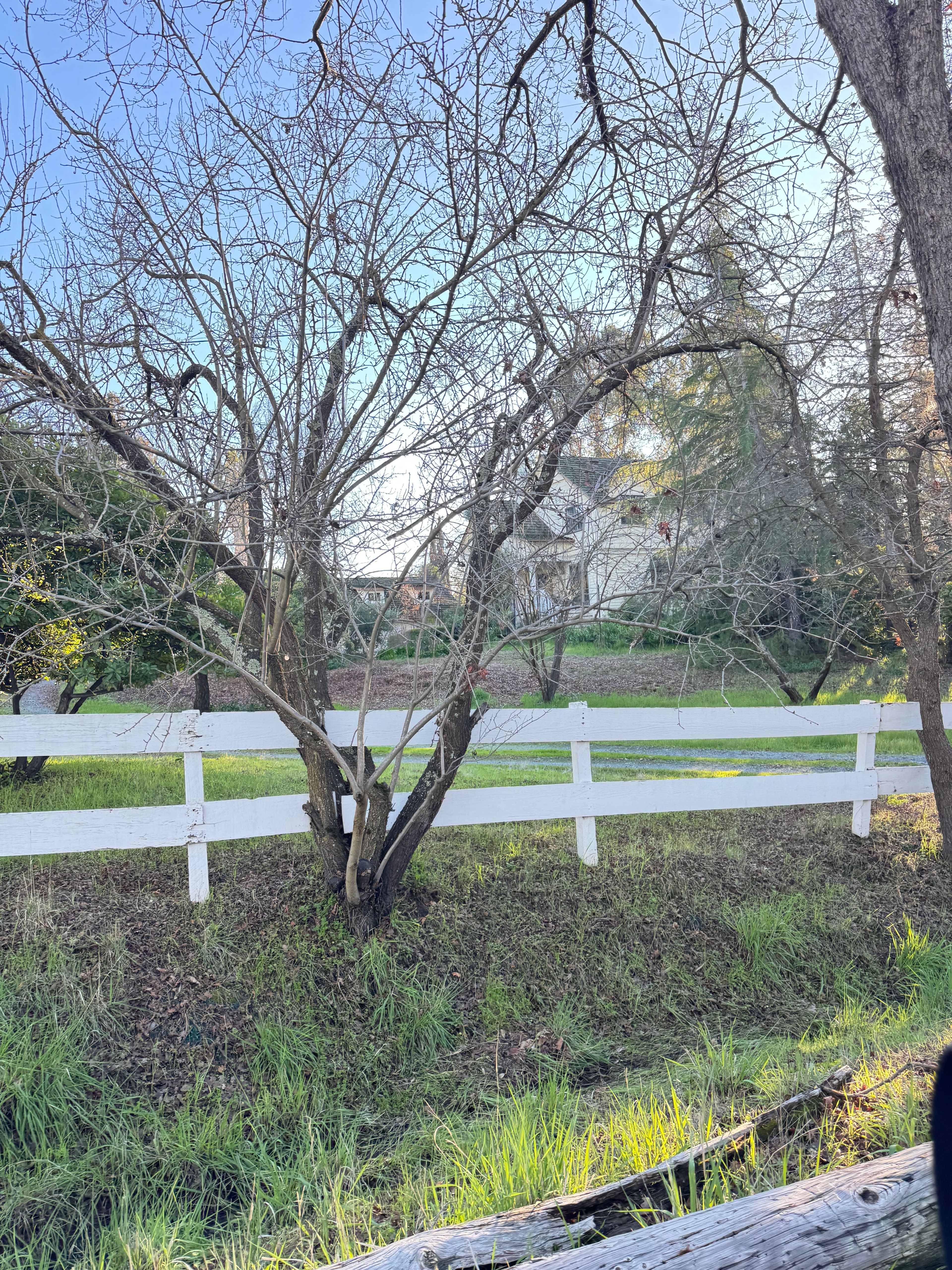 Pleasant Hill Oasis 2