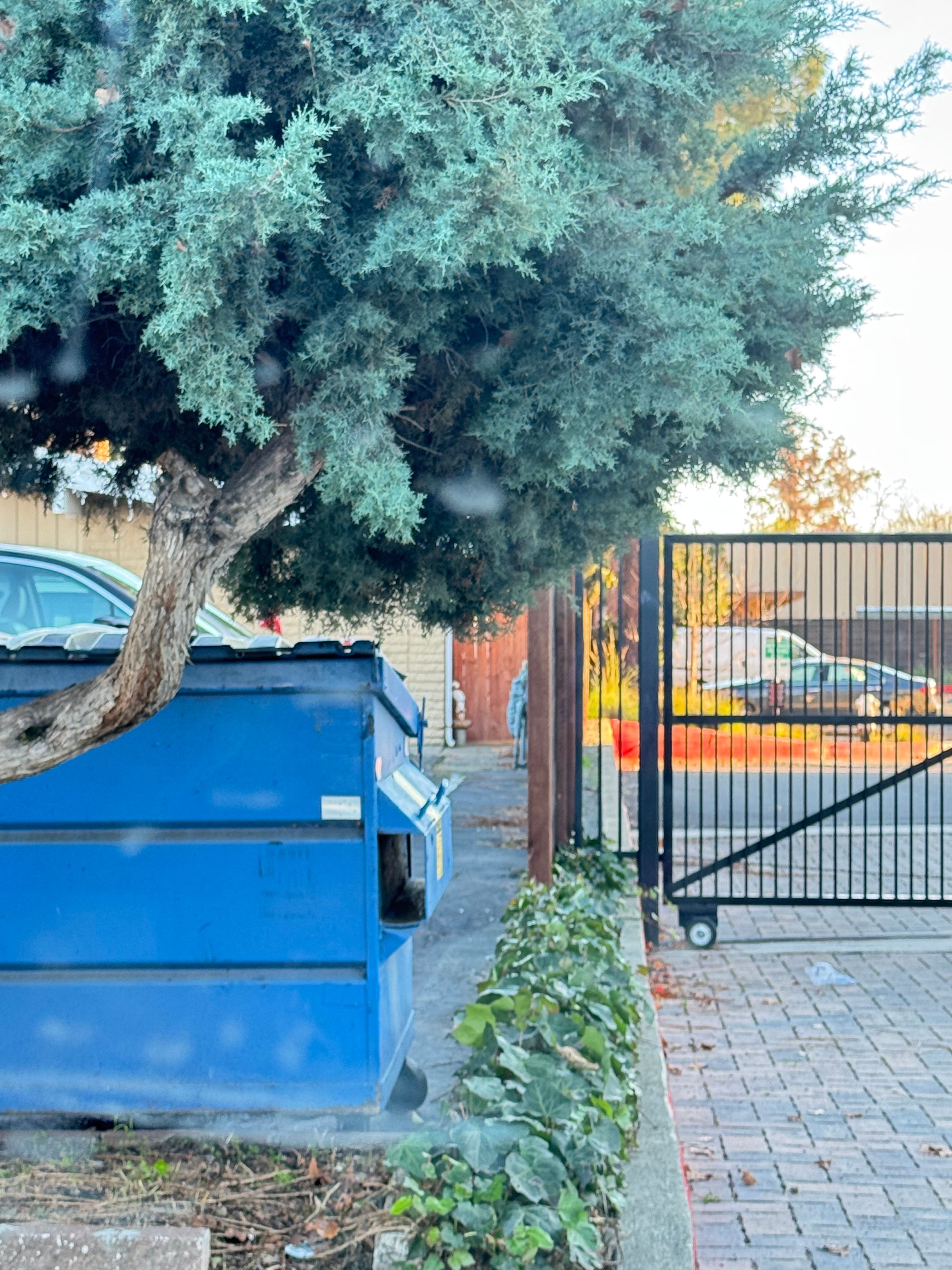 Pleasant Hill Oasis 3