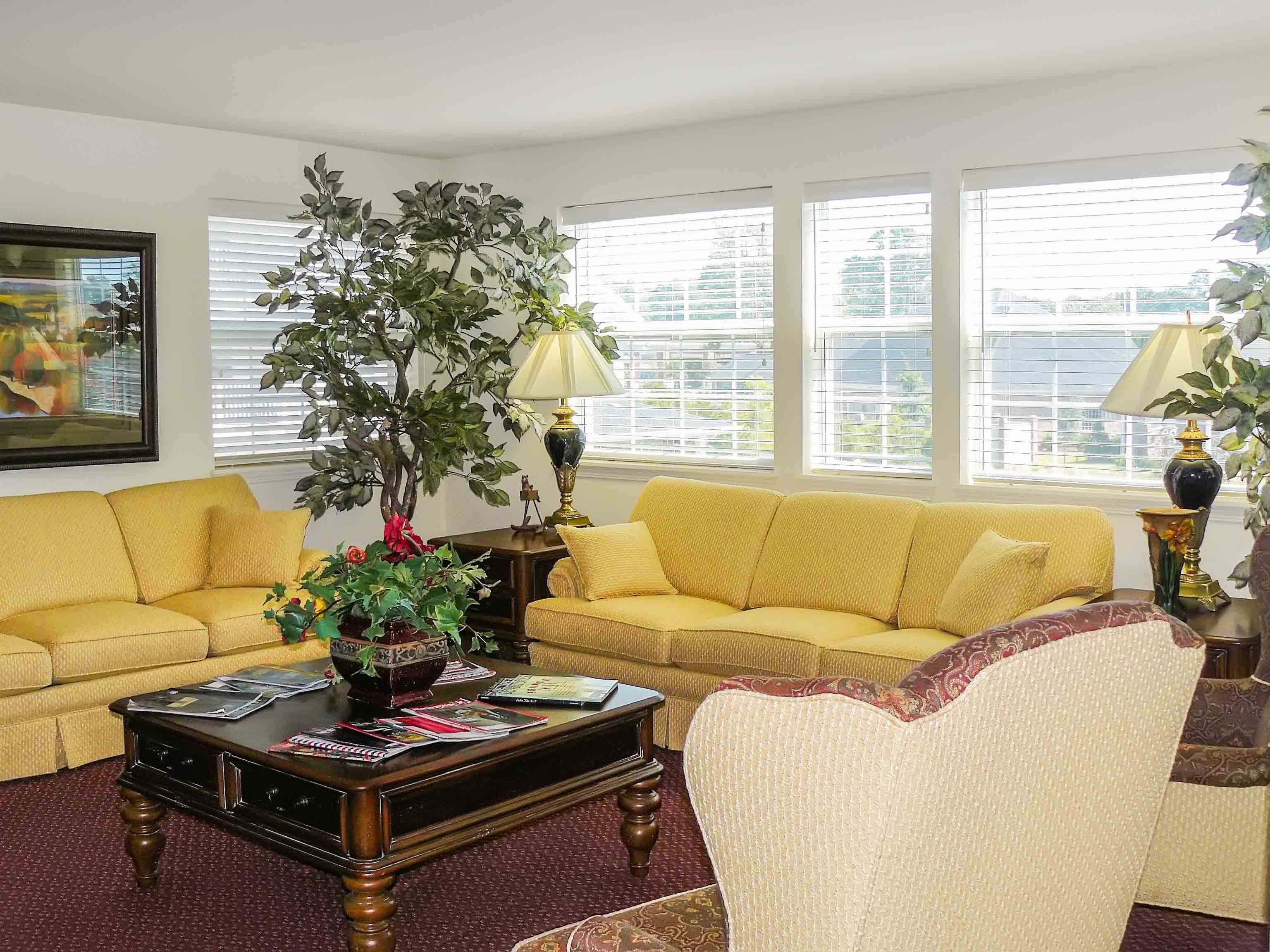 TerraBella Myrtle Beach 3