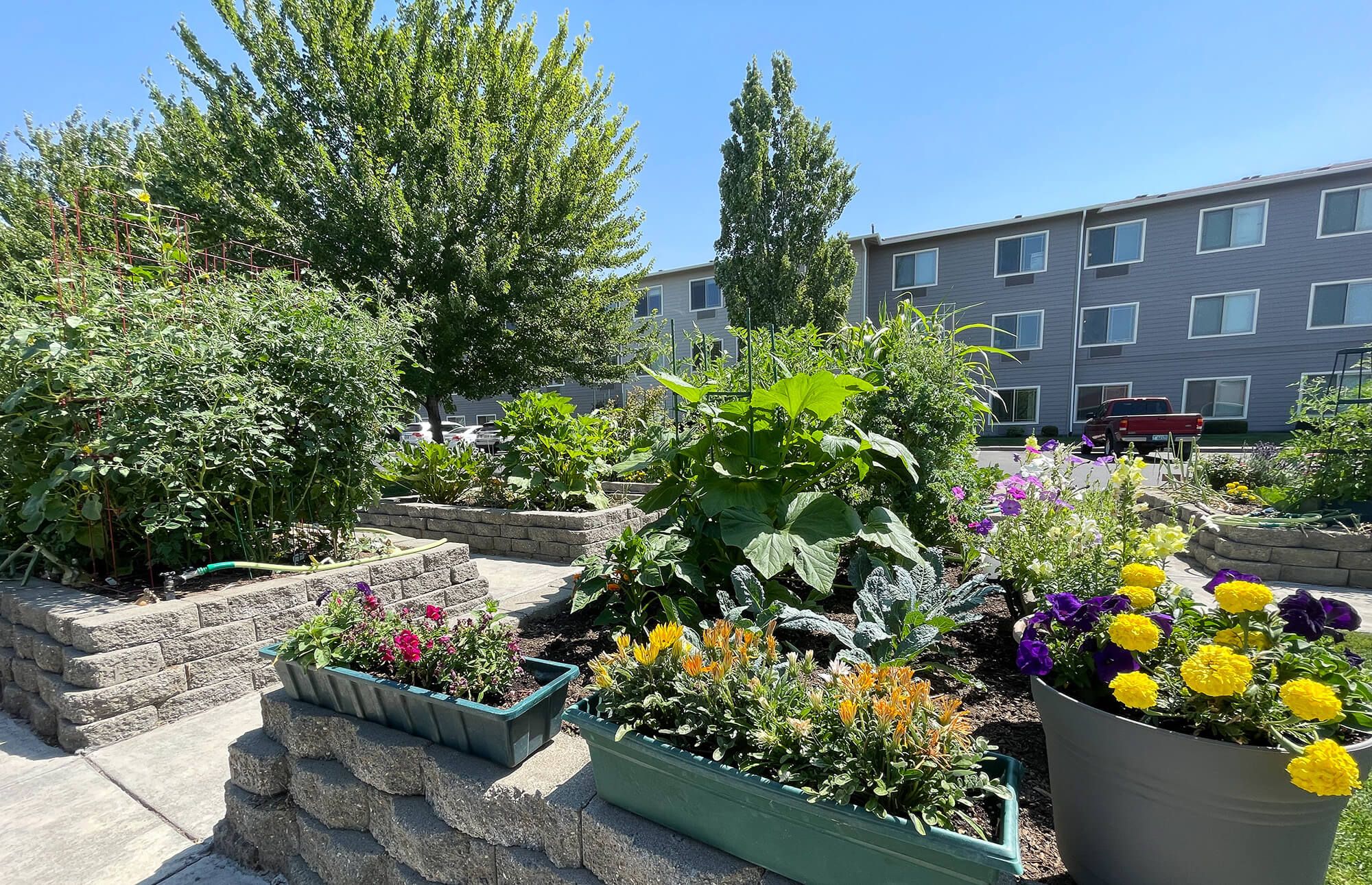 Wheatland Village 4