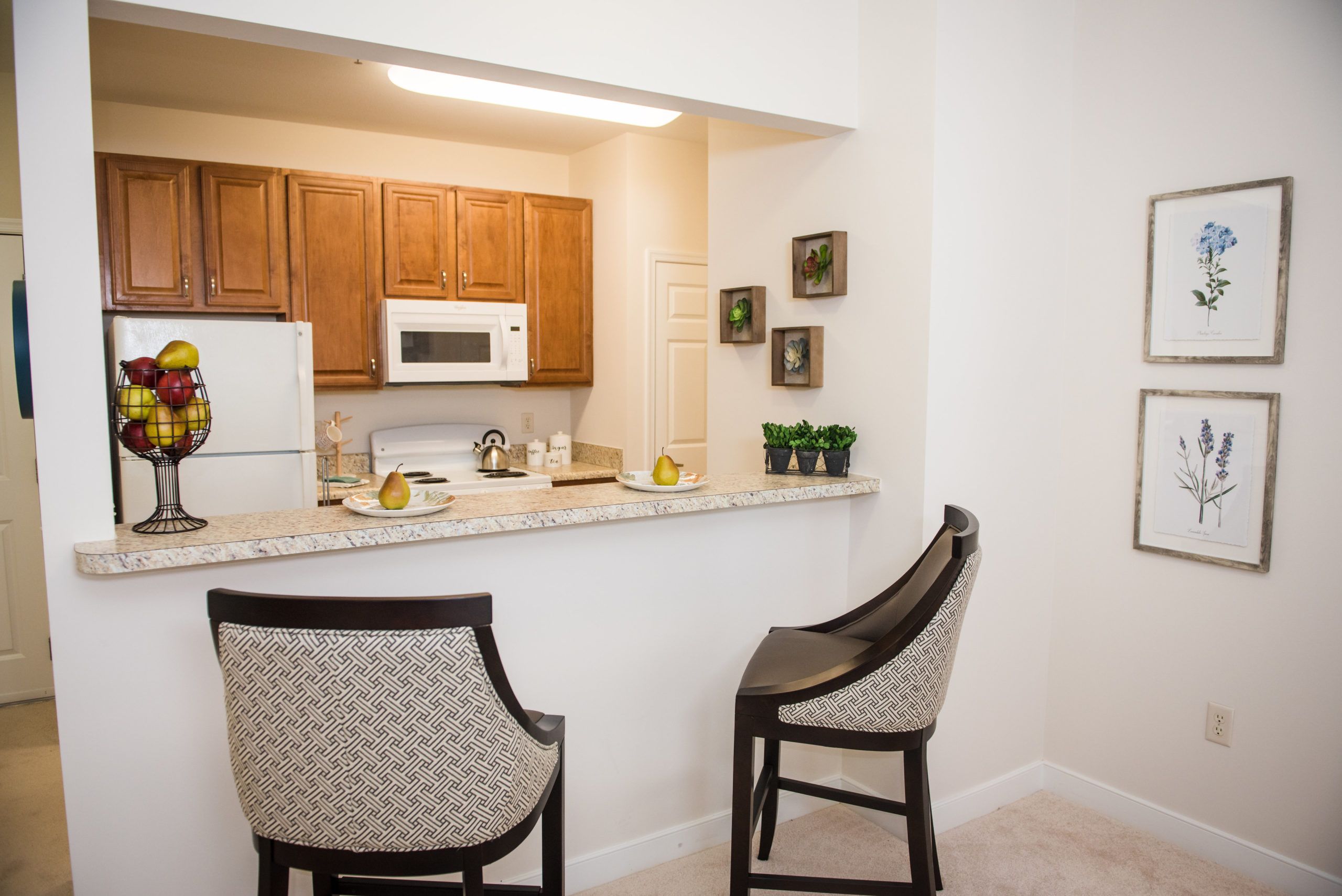 Commonwealth Senior Living at Williamsburg 3