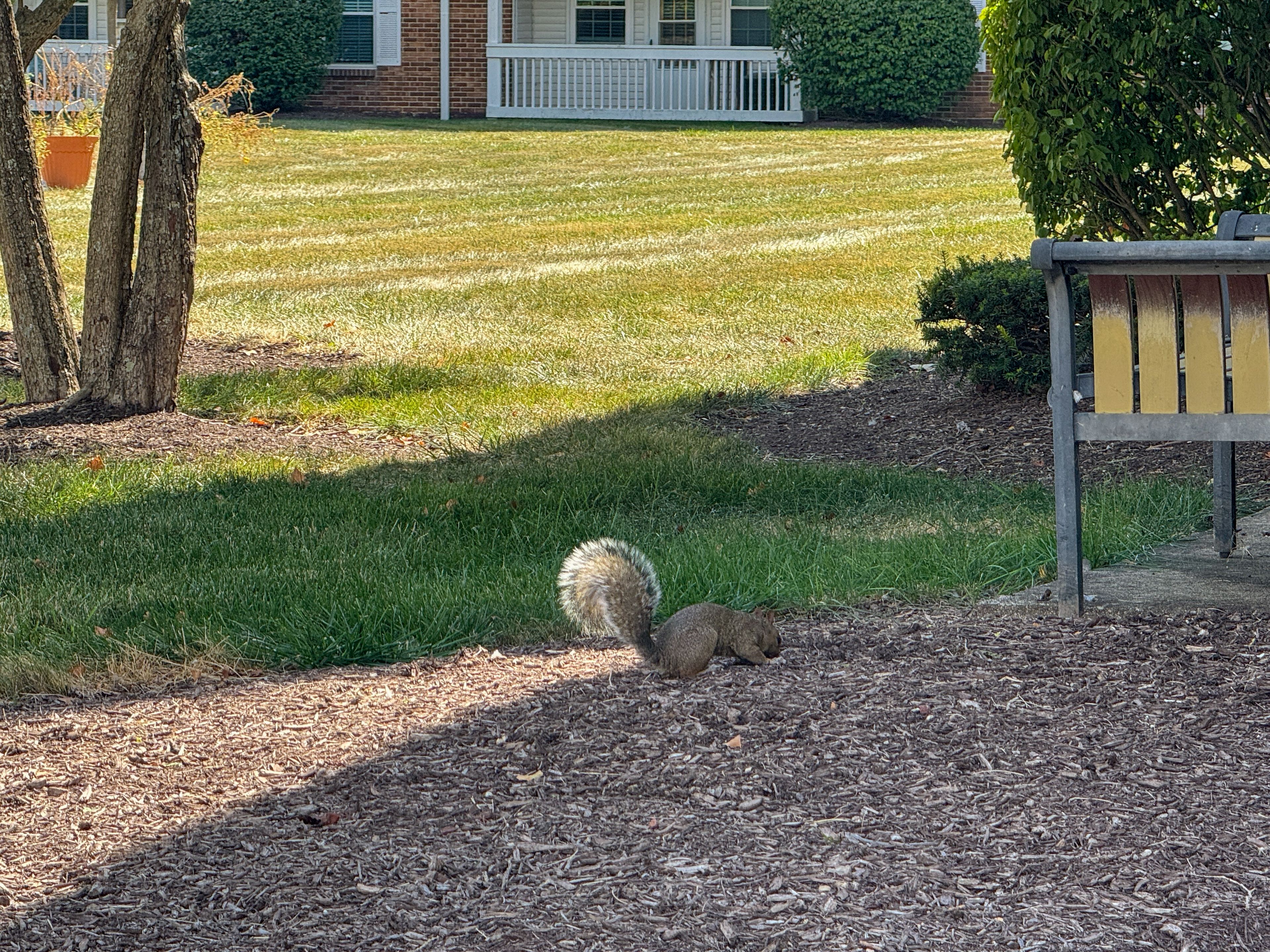 Trinity Community at Miami Township 3