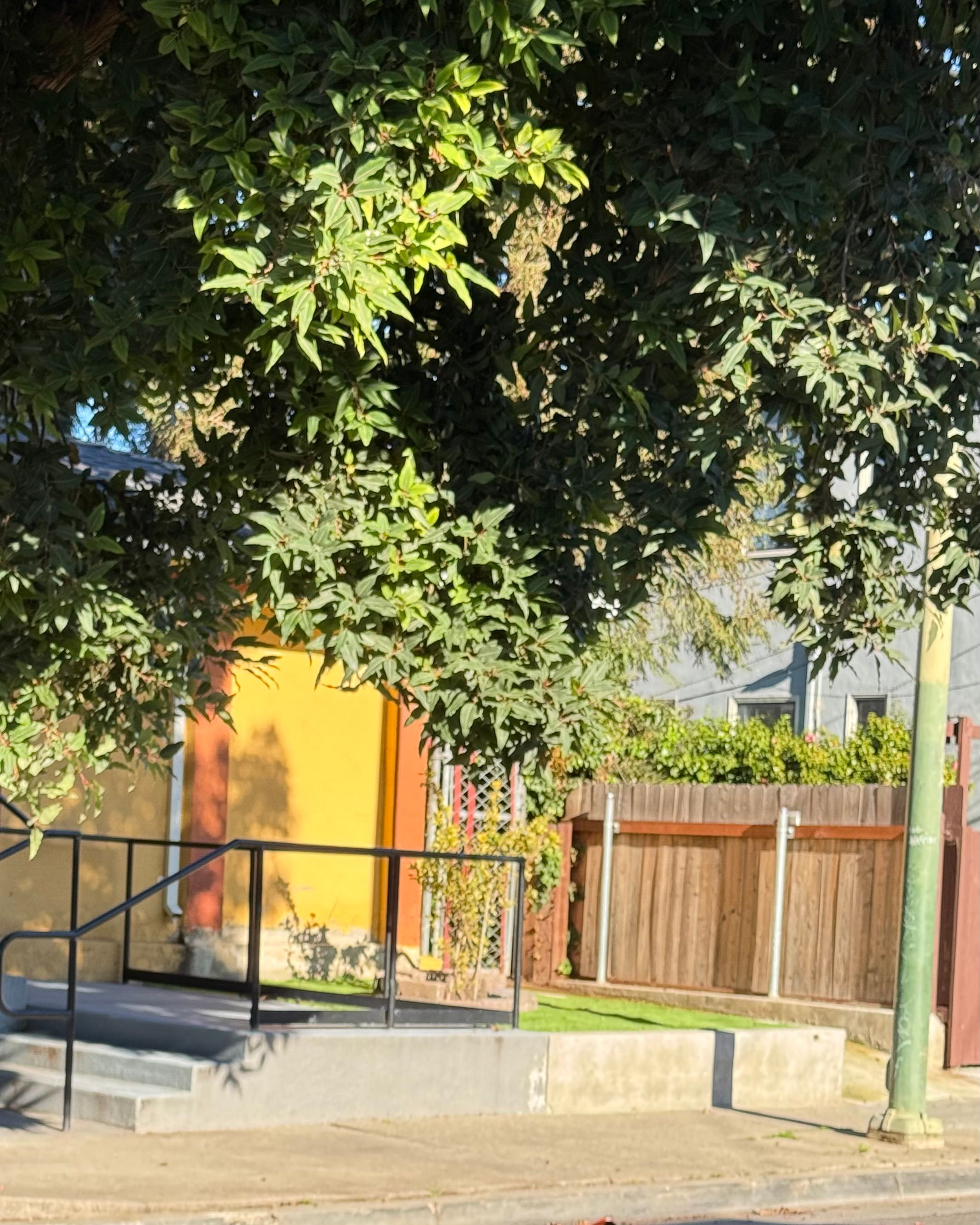 Fruitvale Healthcare Center 3