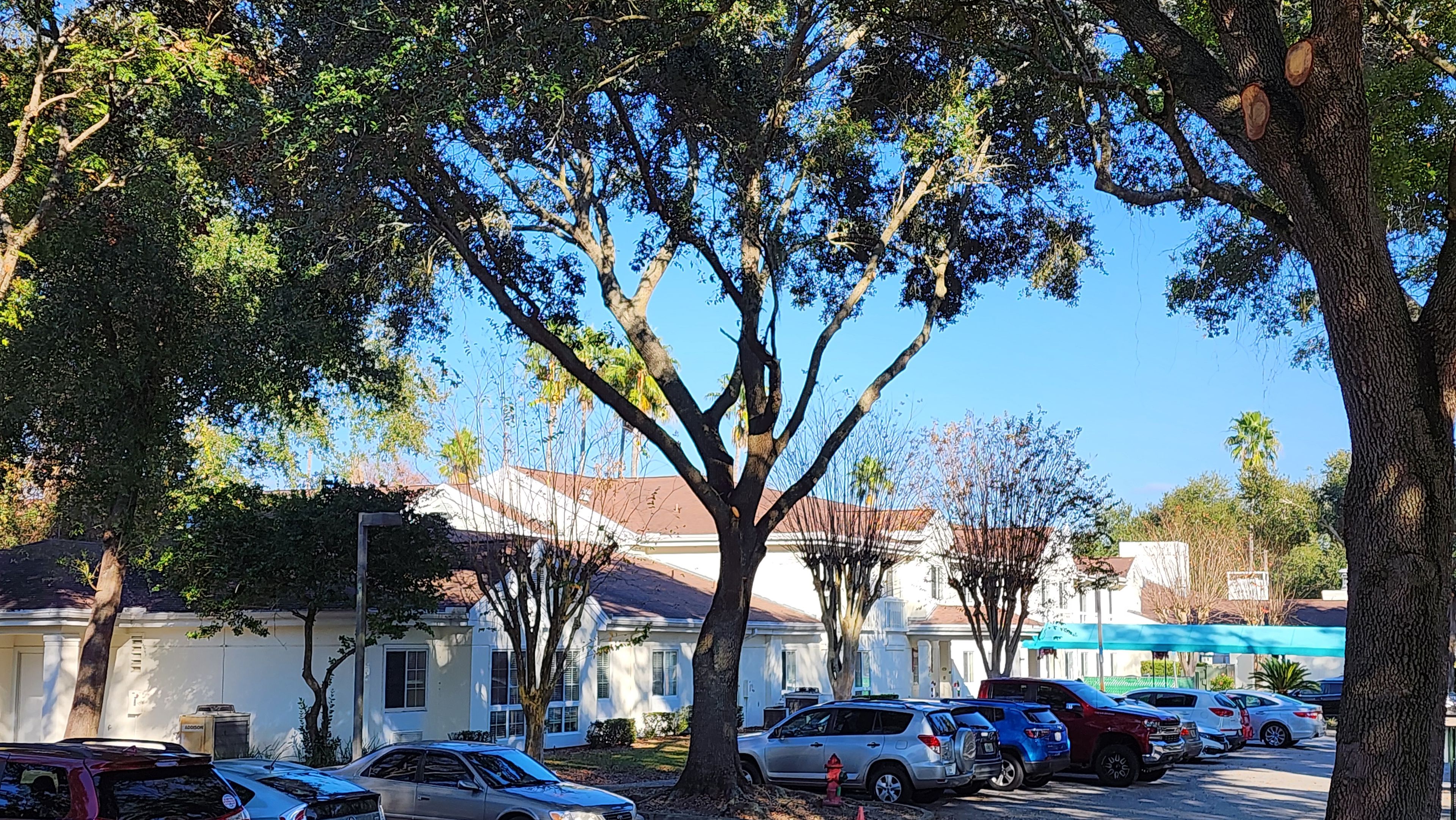 Ansley Cove & Ansley Court 4