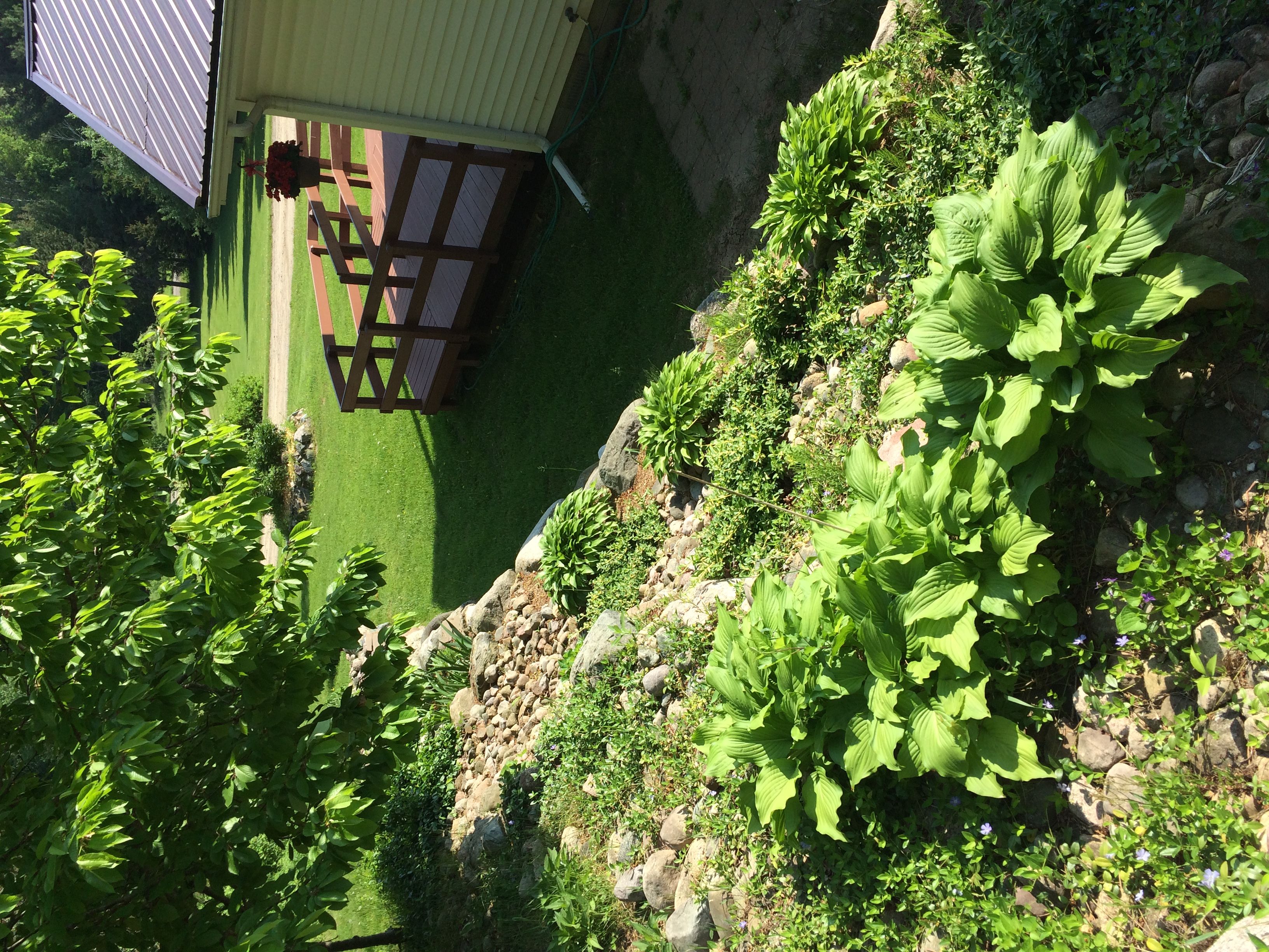 Country Care Assisted Living 4