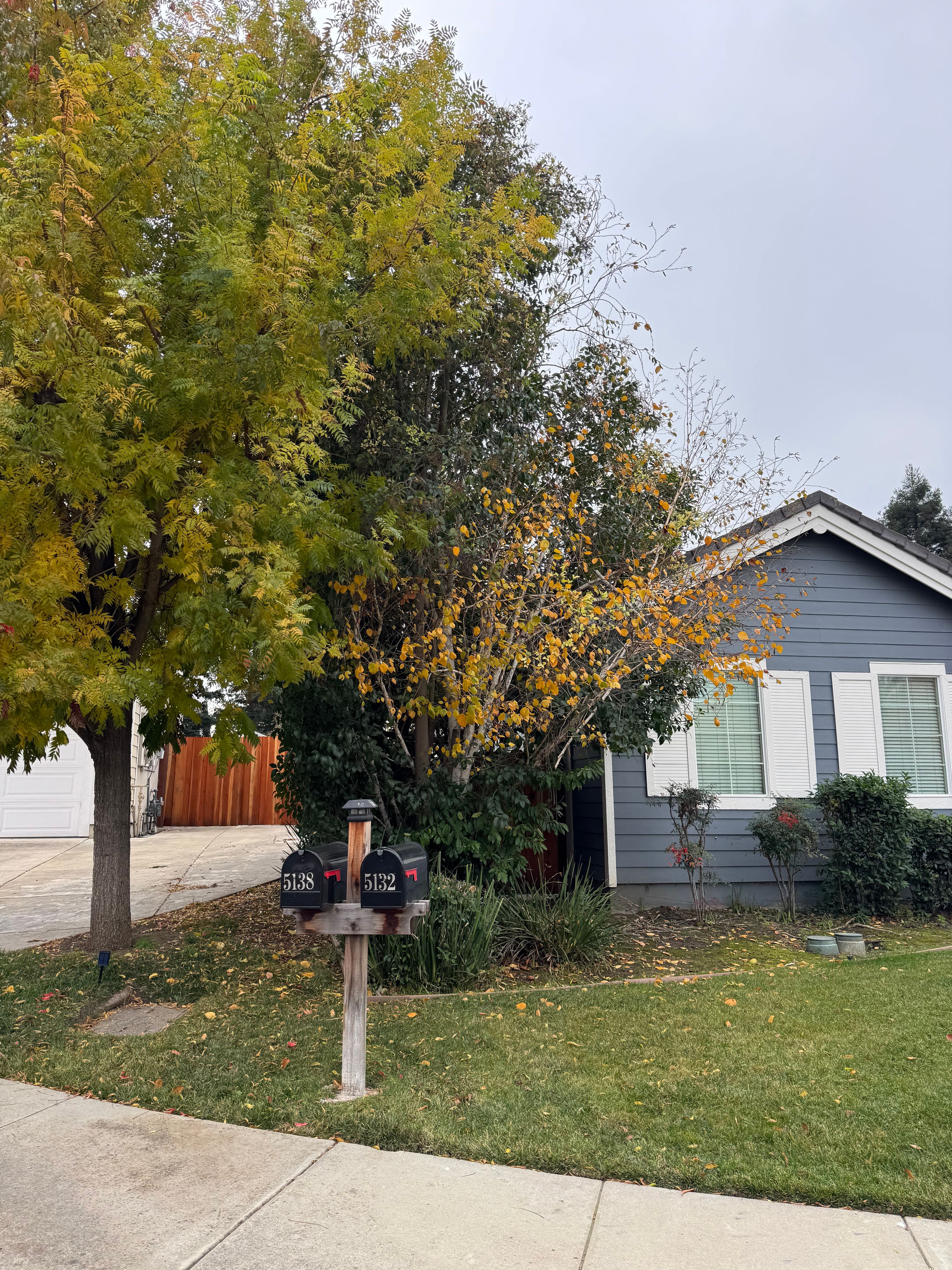 Abraham Rest Home (5132 Nathalee Drive) 1