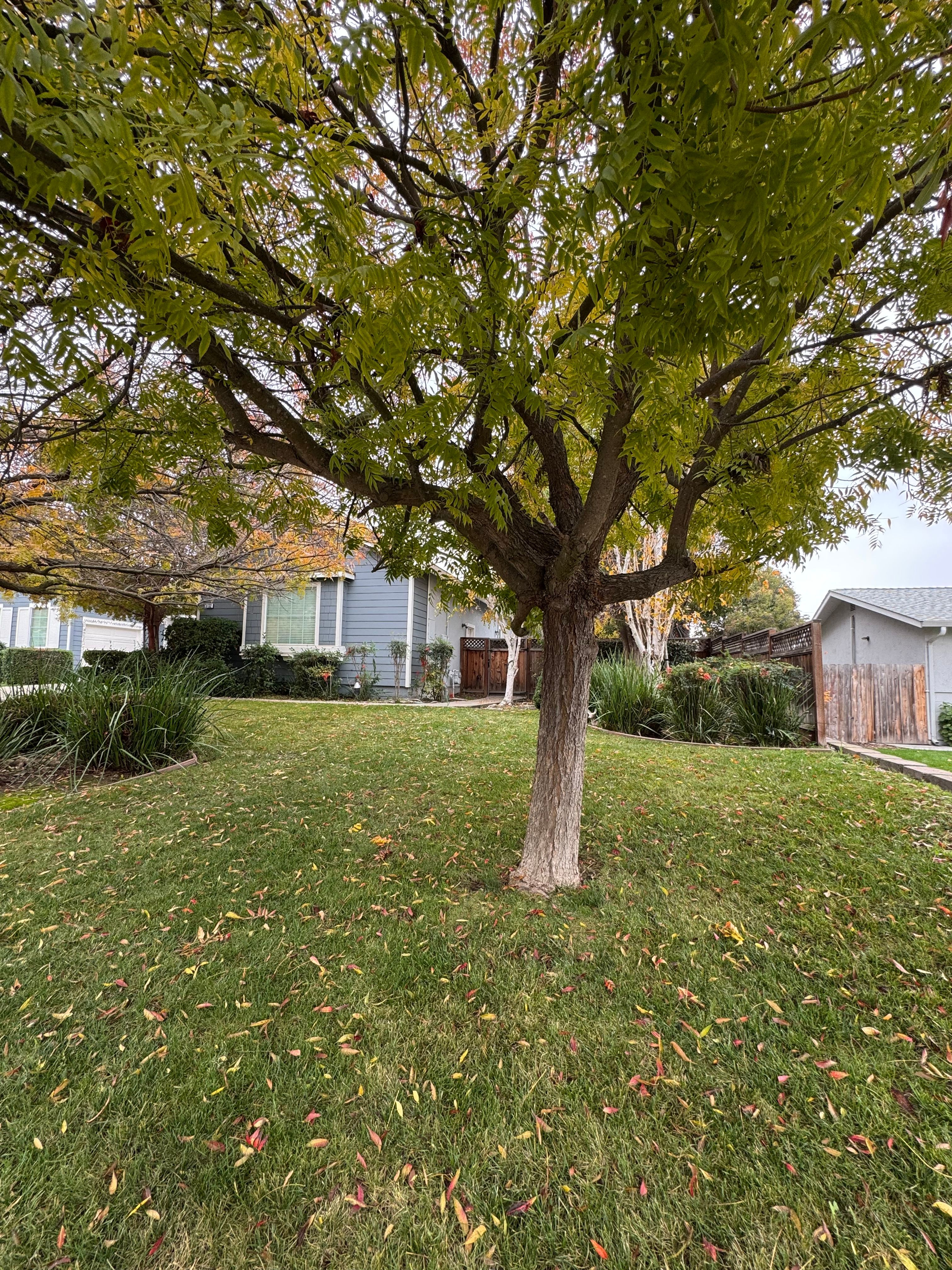 Abraham Rest Home (5132 Nathalee Drive) 2