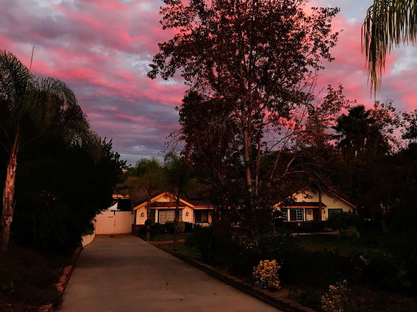 Rose Garden Vista 4