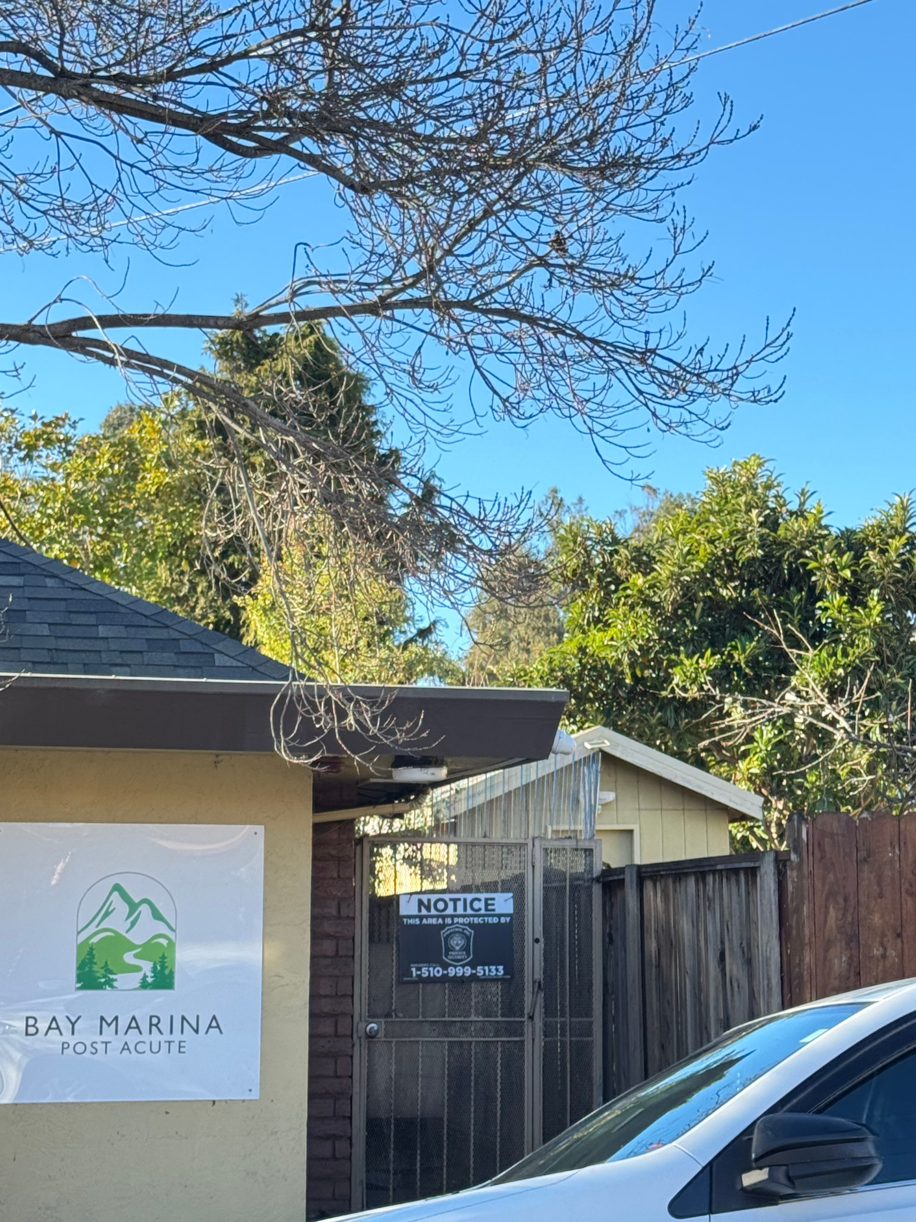 Bay Marina Post Acute 4