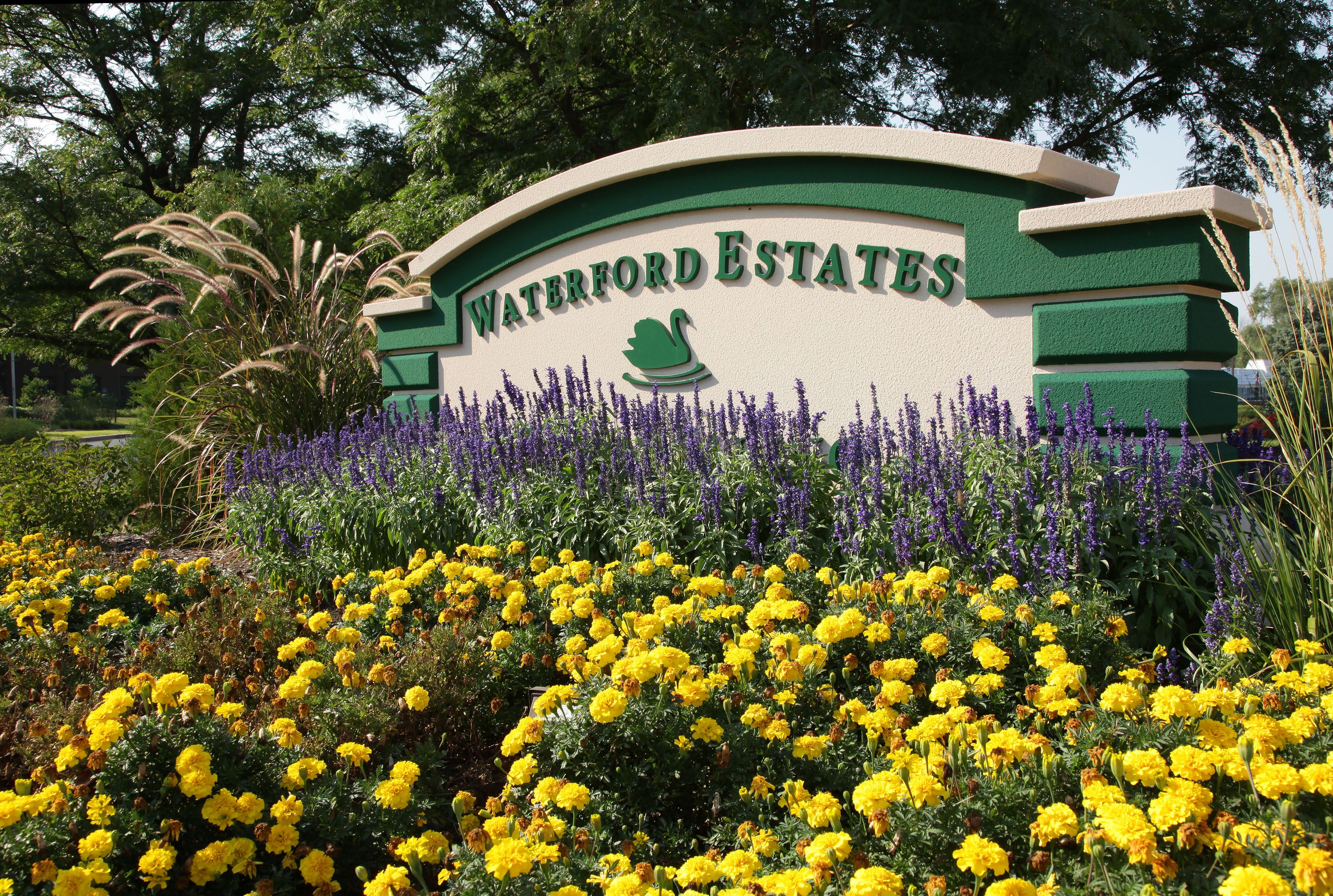 Waterford Estates 3