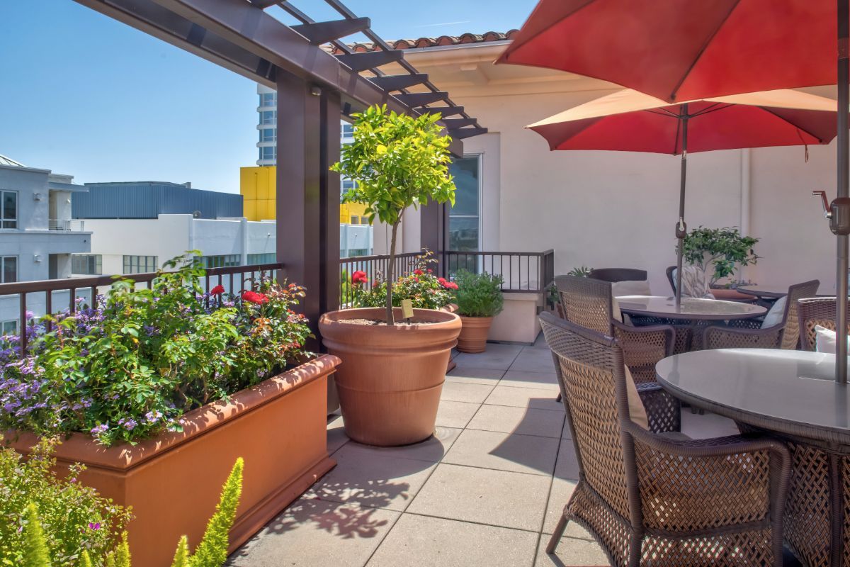 Sunrise Of Beverly Hills 3