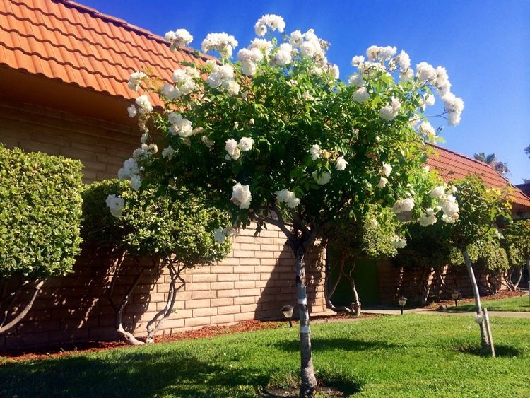 Valley House Rehabilitation Center 2