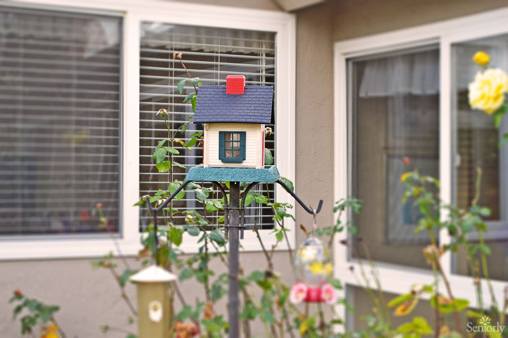 Penny's Guest Home 2