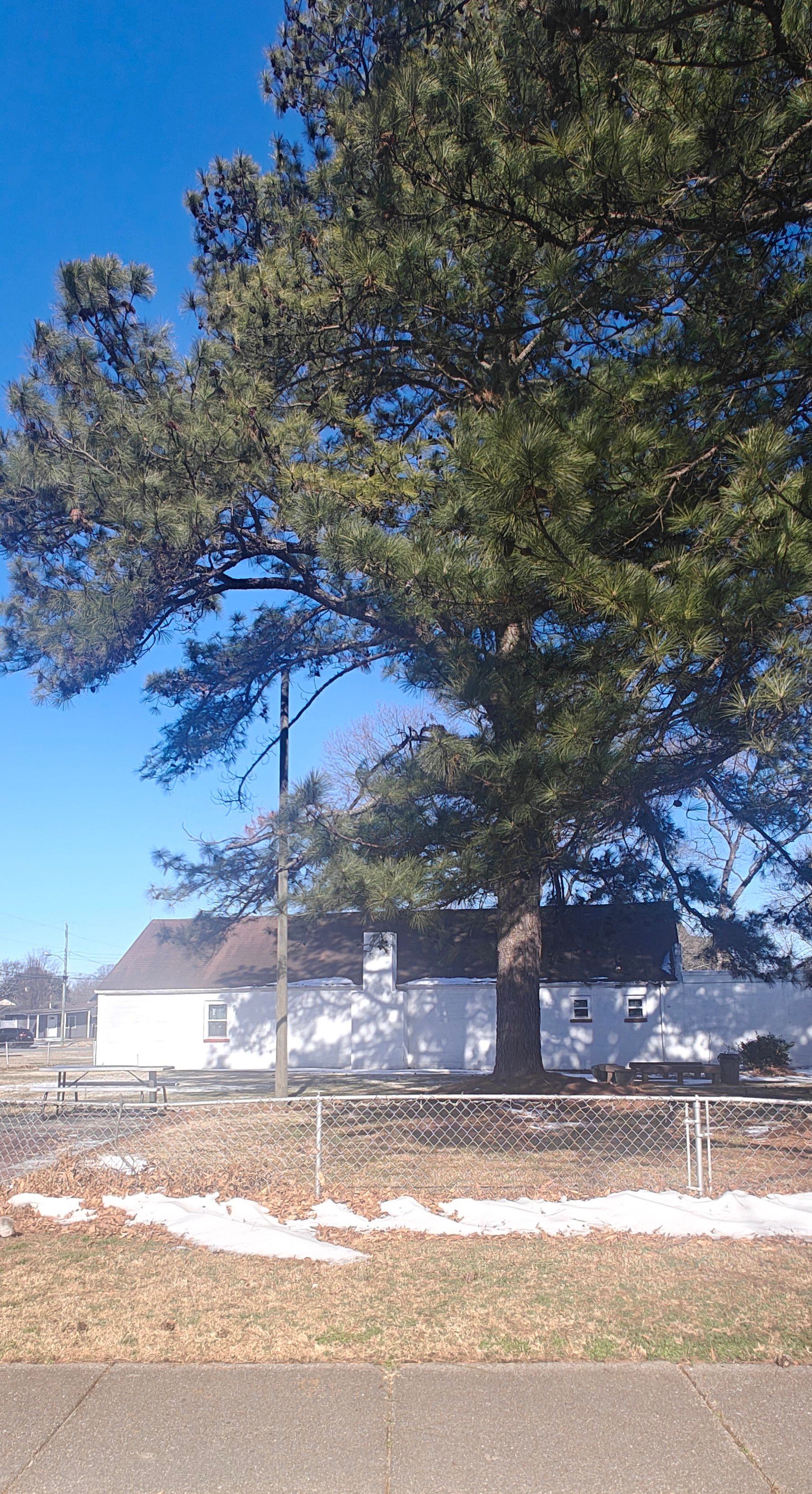 Virginia Home for Adults 2
