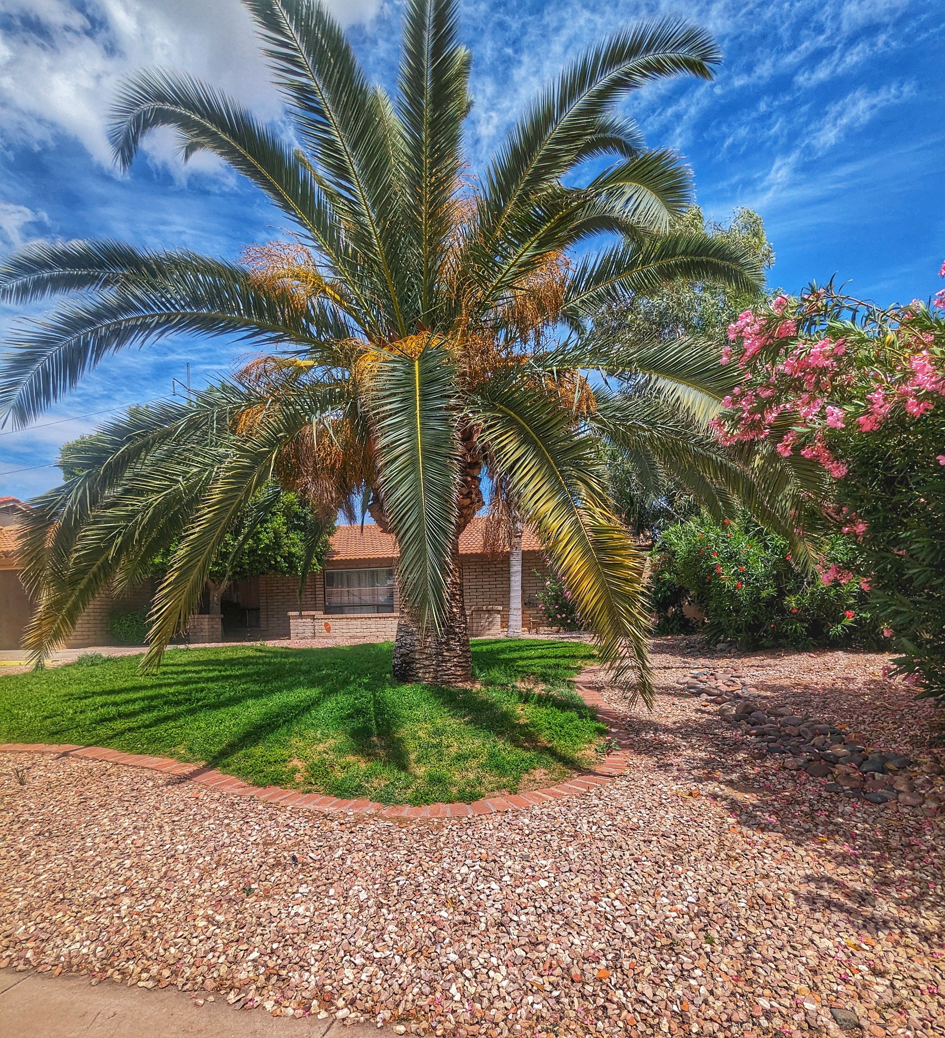 Serene Haven Living 1