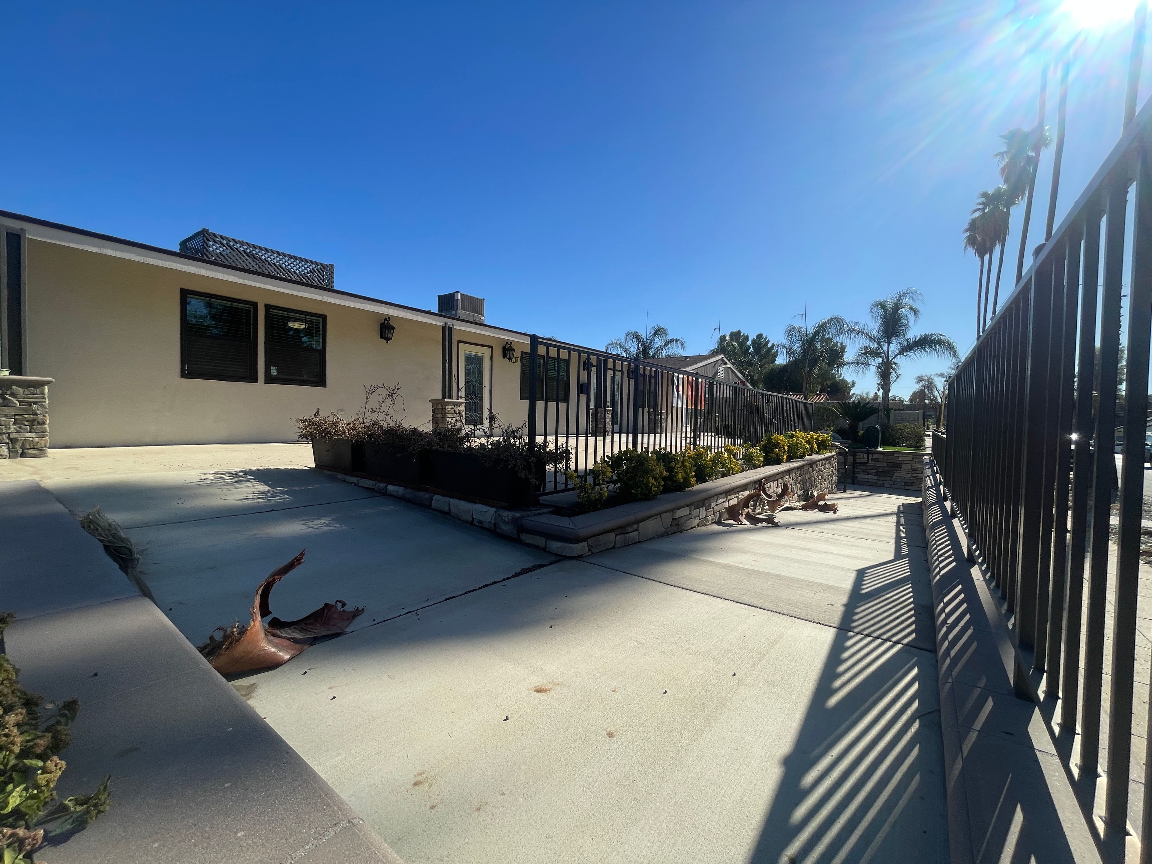 Palm View Pleasant Living 1