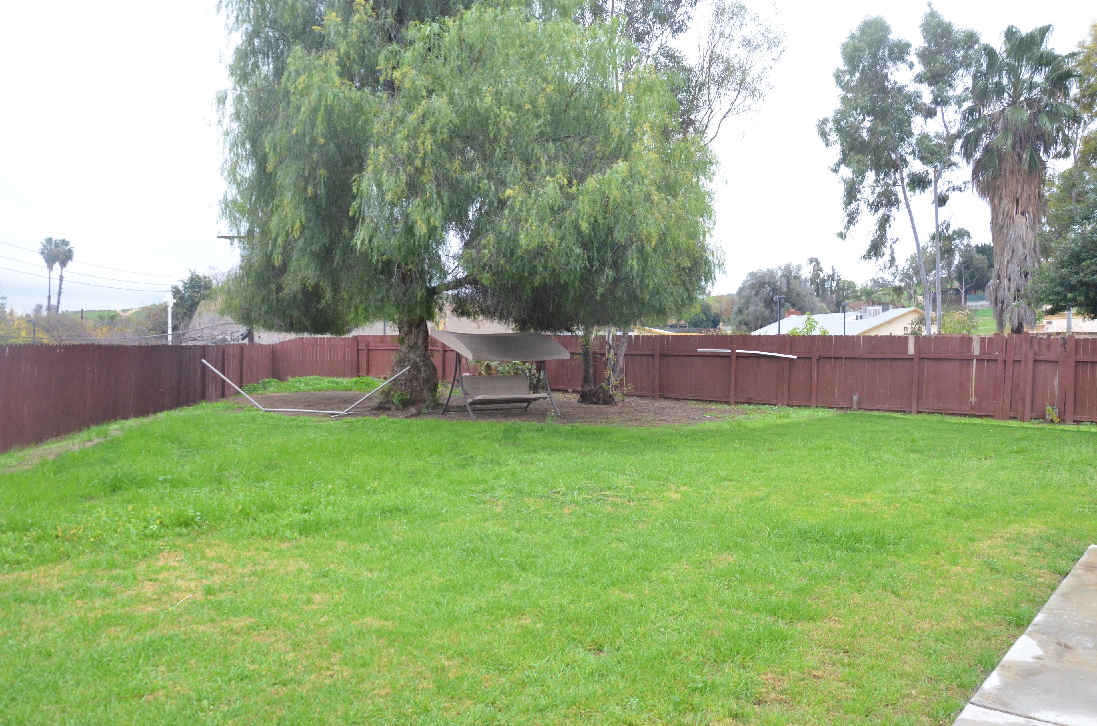 Backyard