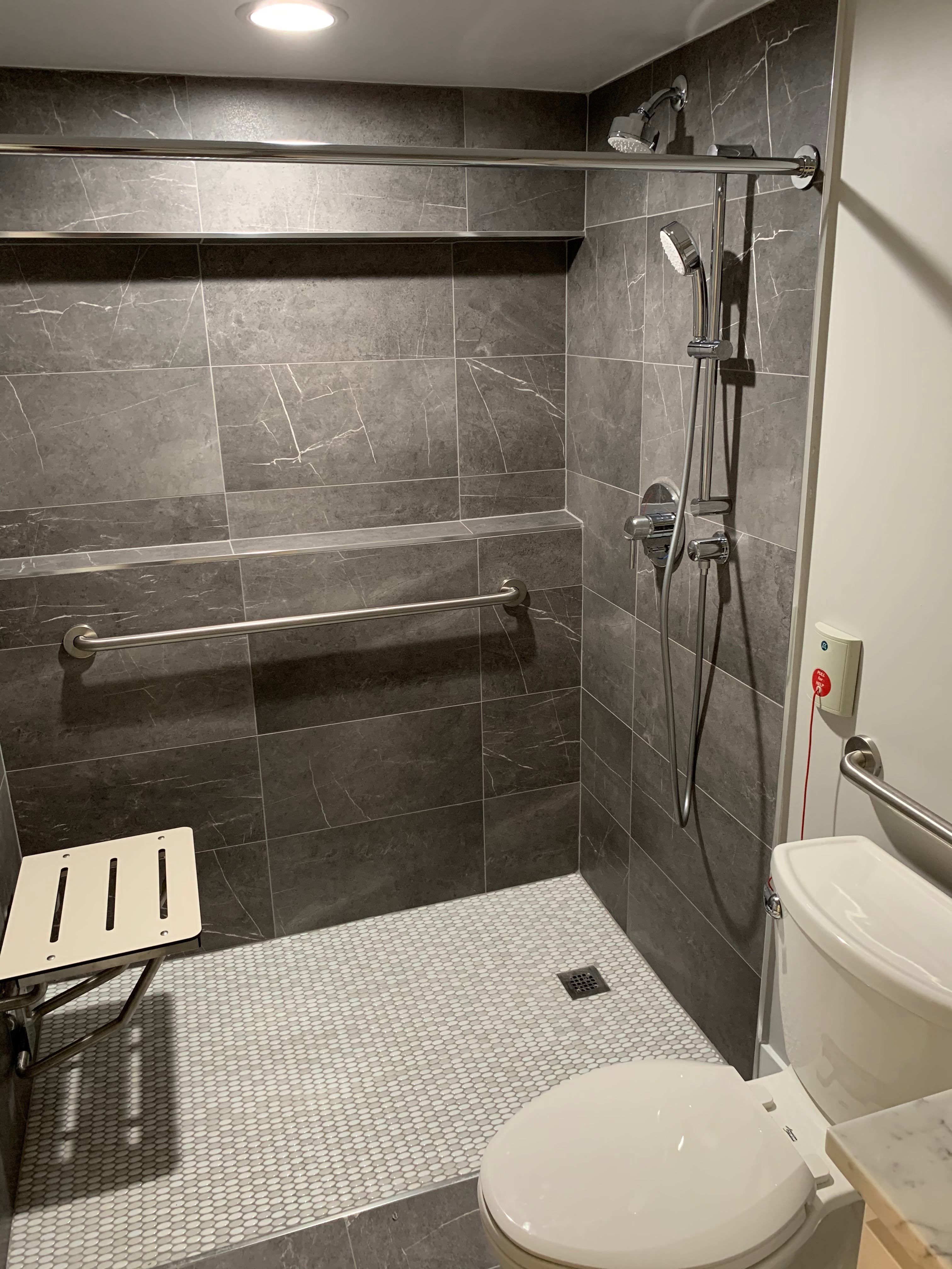 Senior Safe Bathrooms:  Curbless entry modern design 