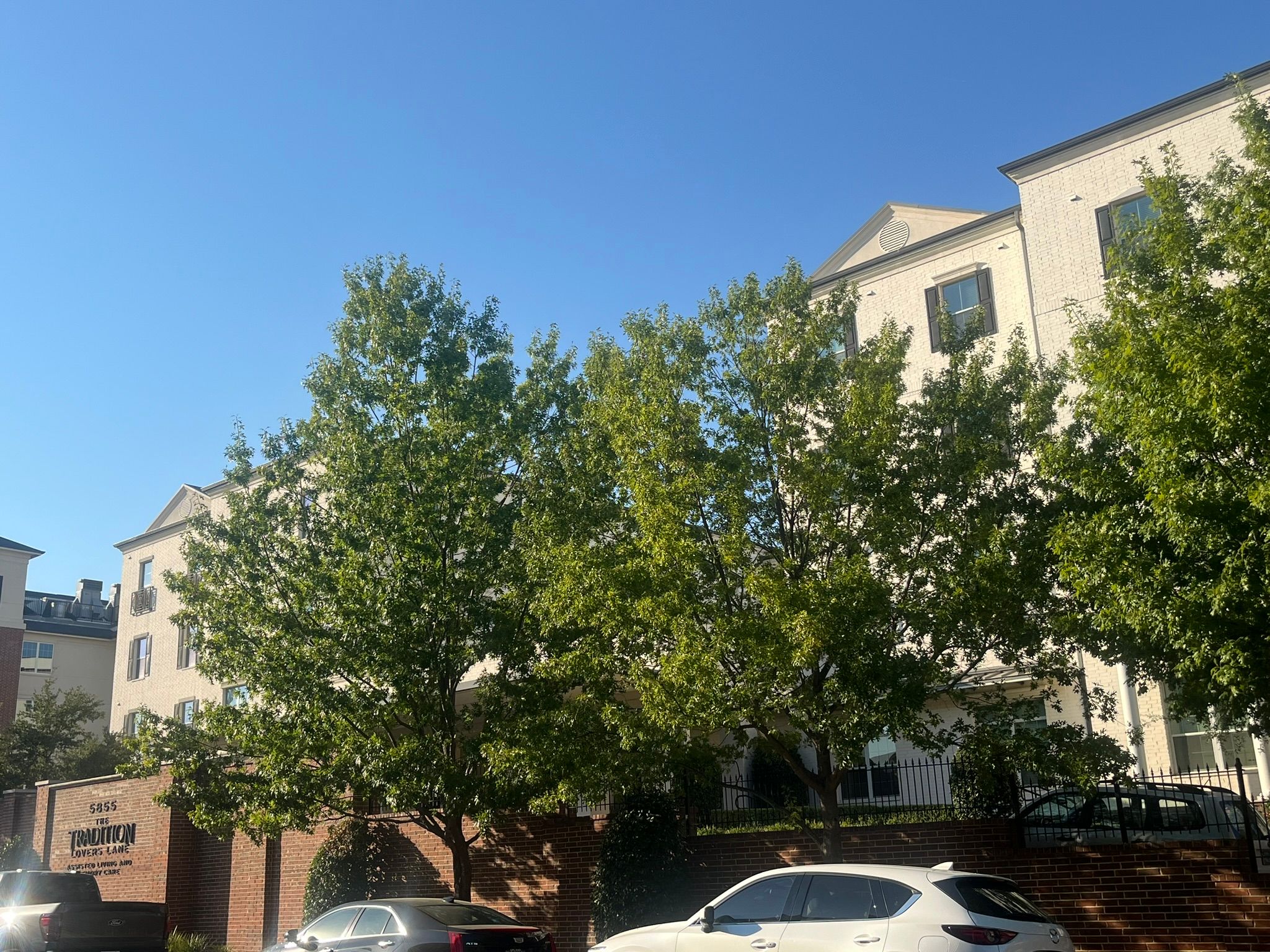 The Tradition - Lovers Lane Independent Living 1