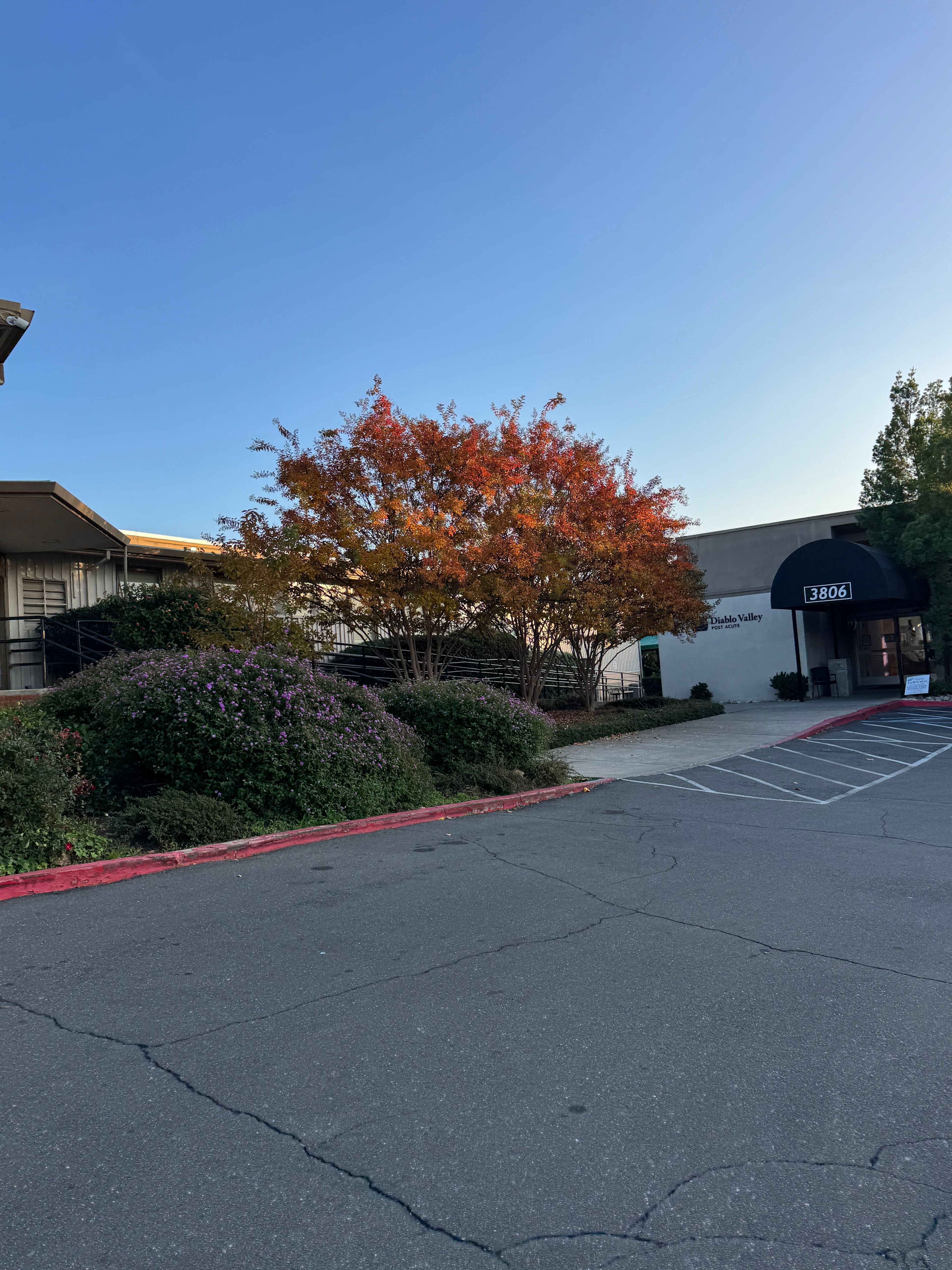 Diablo Valley Post Acute 4