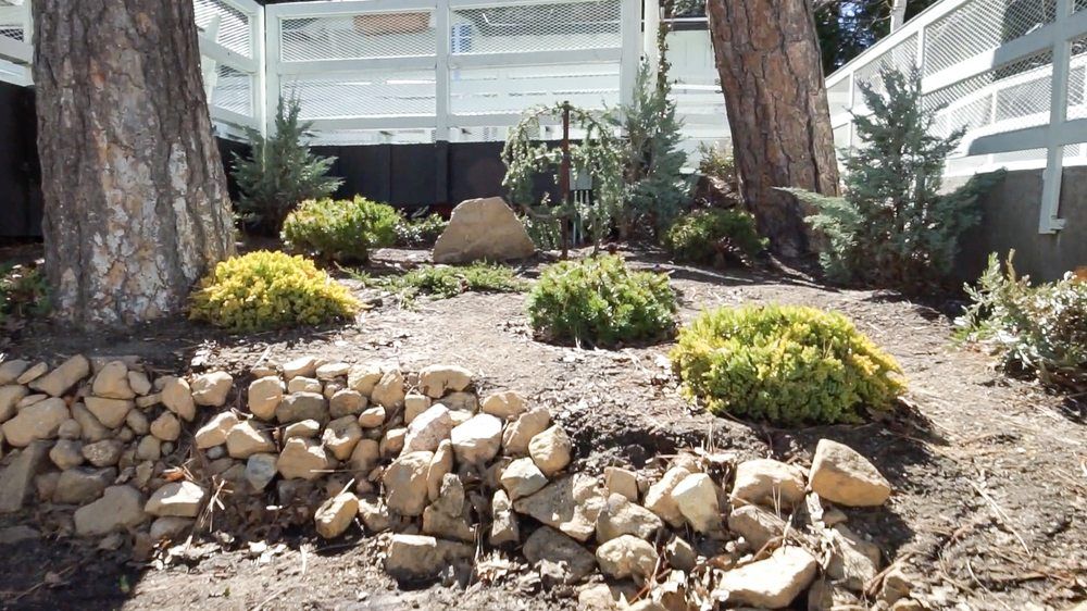 Pacific Pines Assisted Living Facility 2