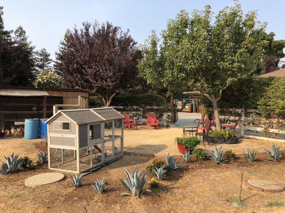 Gloria's Country Care 3
