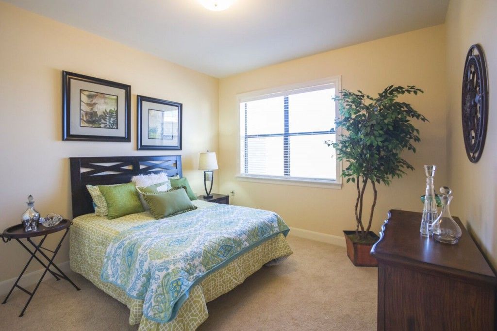The Overlook at Menger Springs 4