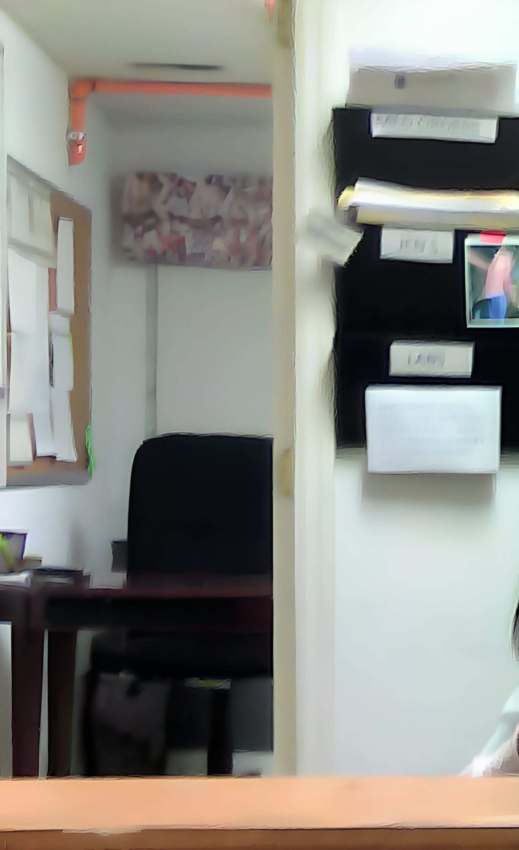 Sunshine Home Care Winfield 1