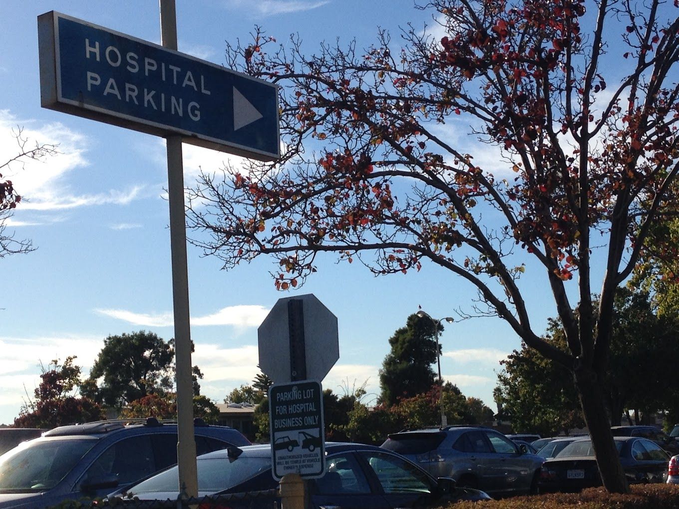 Alameda Hospital 2