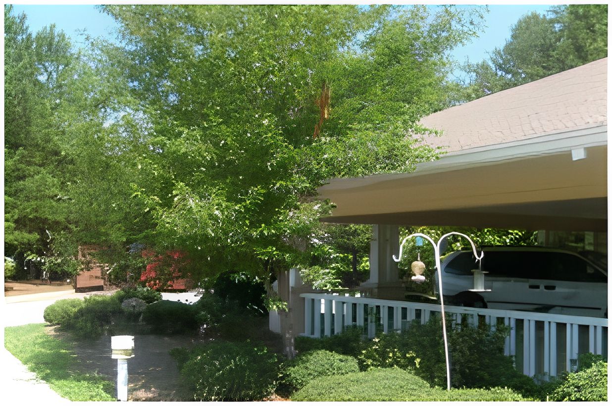 Fellowship Senior Services 1