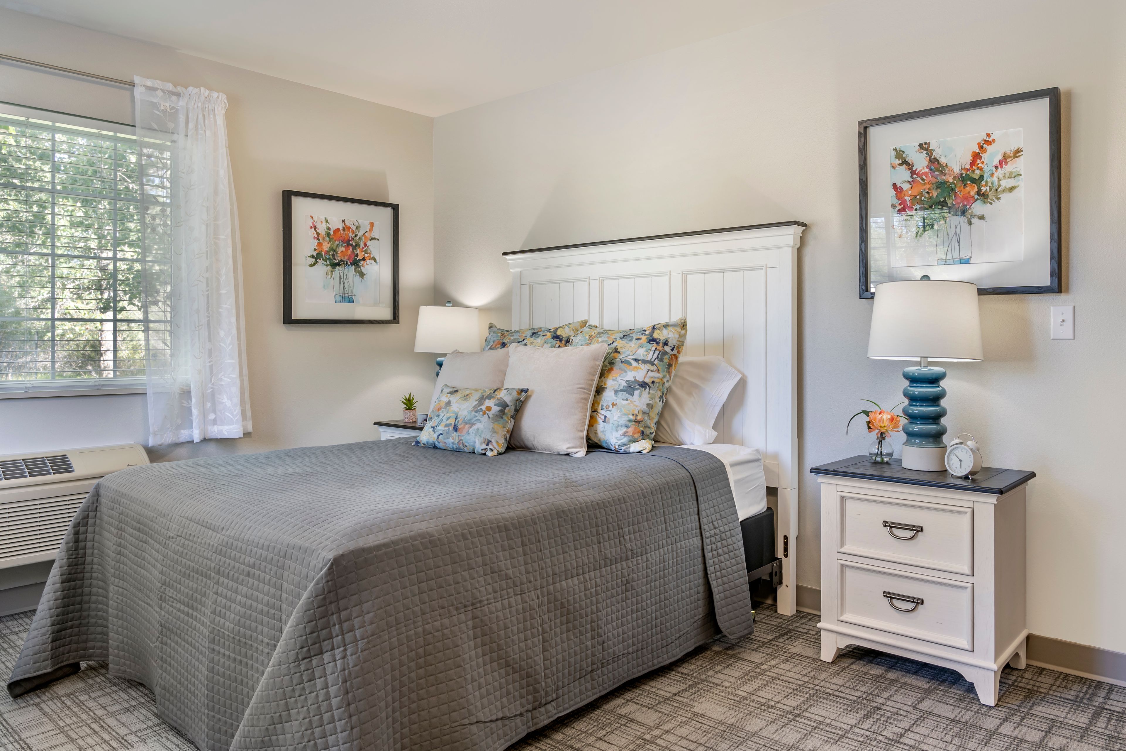 Brookdale Springmeadows 1