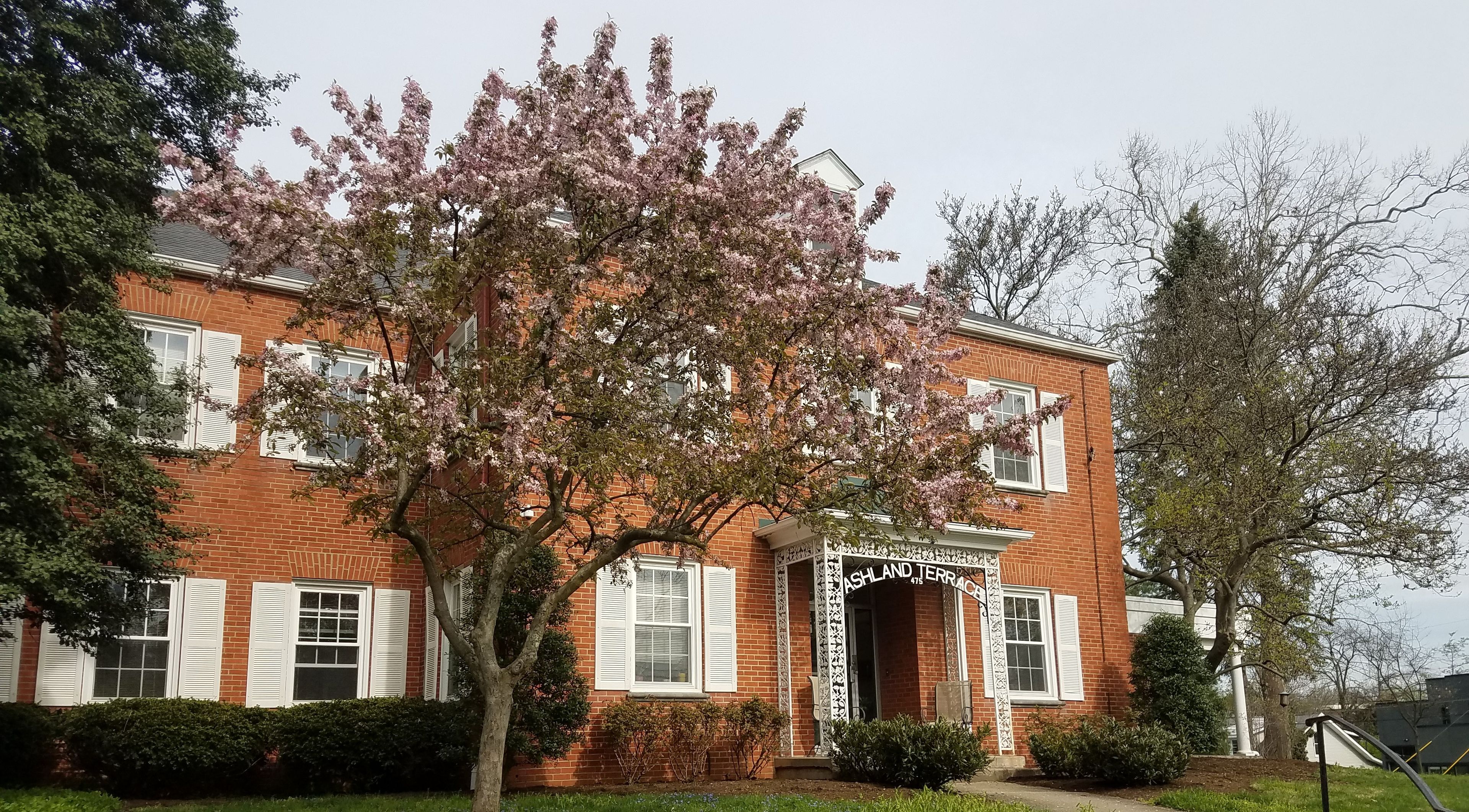 Ashland Terrace 1