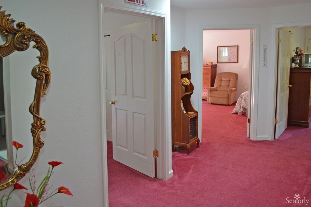 Olivia's Care Home Iv 3