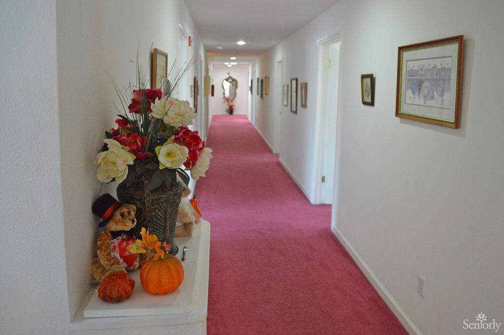 Olivia's Care Home Iv 3