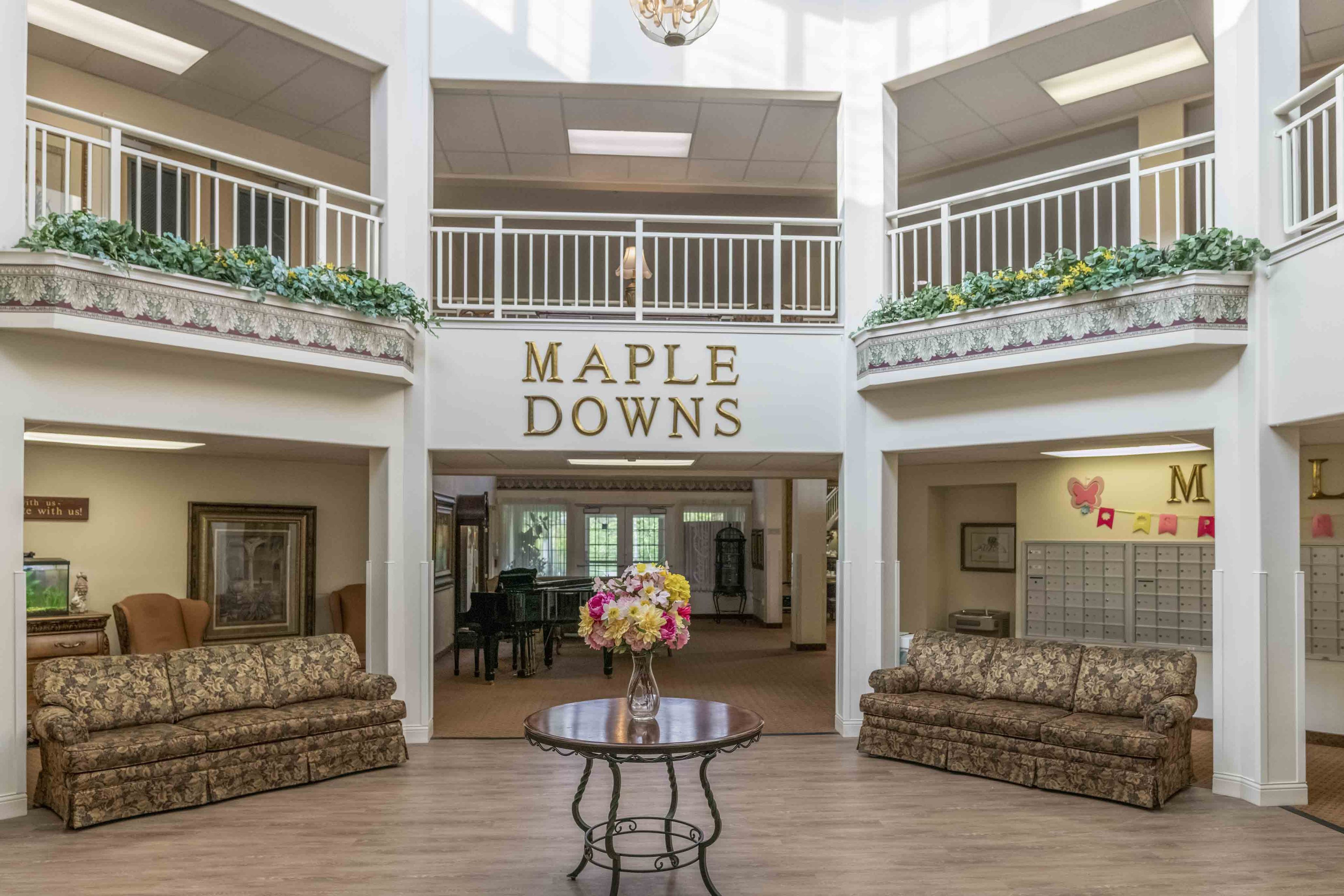 Holiday Maple Downs 2