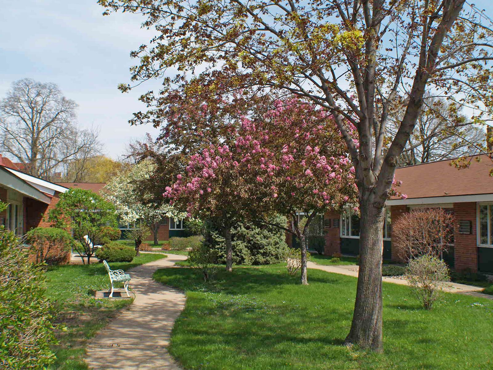 Cass Street Assisted Living 1
