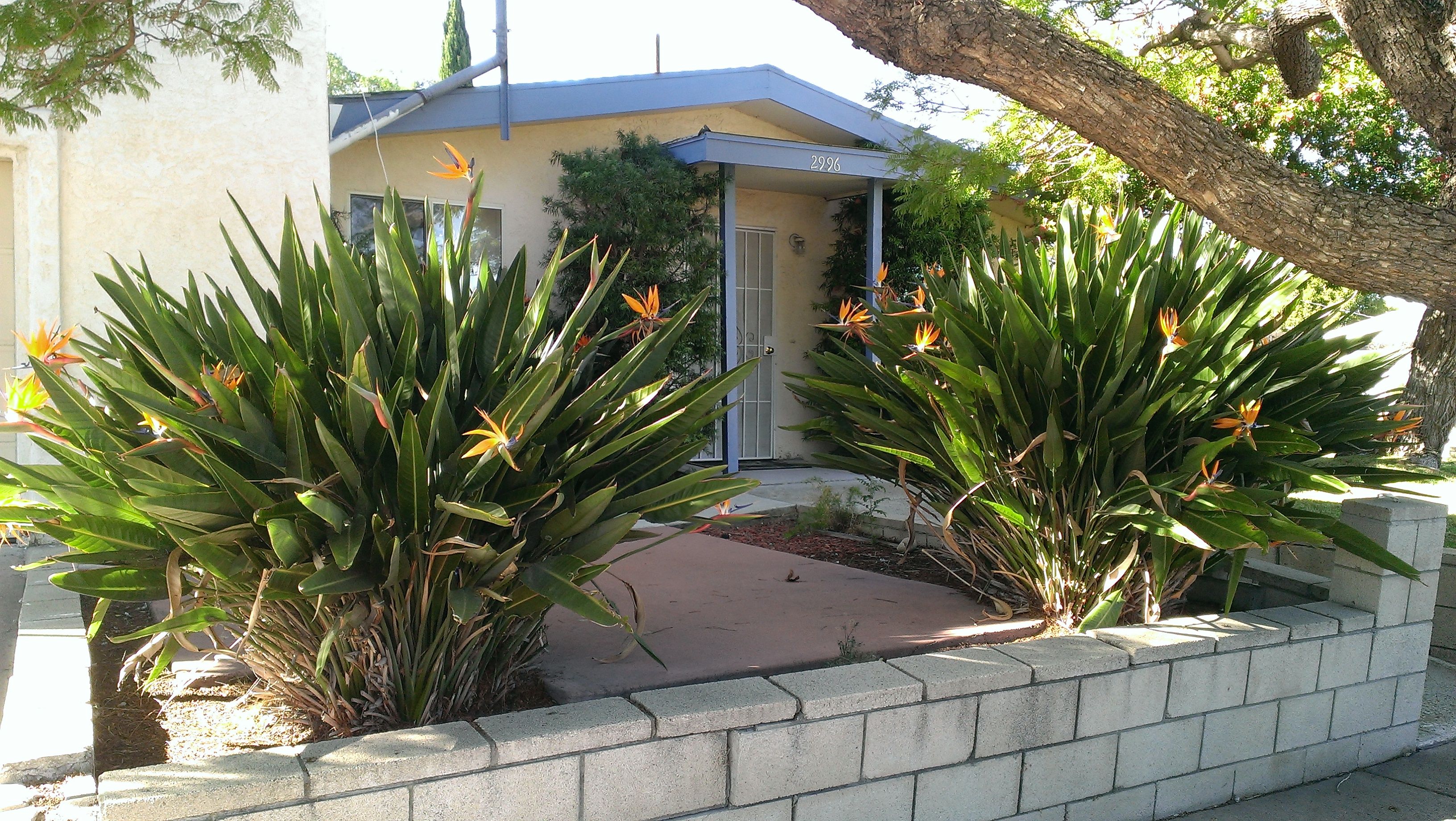 Mission Home 2