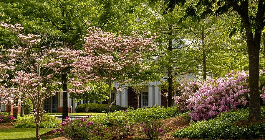 The Gardens At Royal Oaks 2