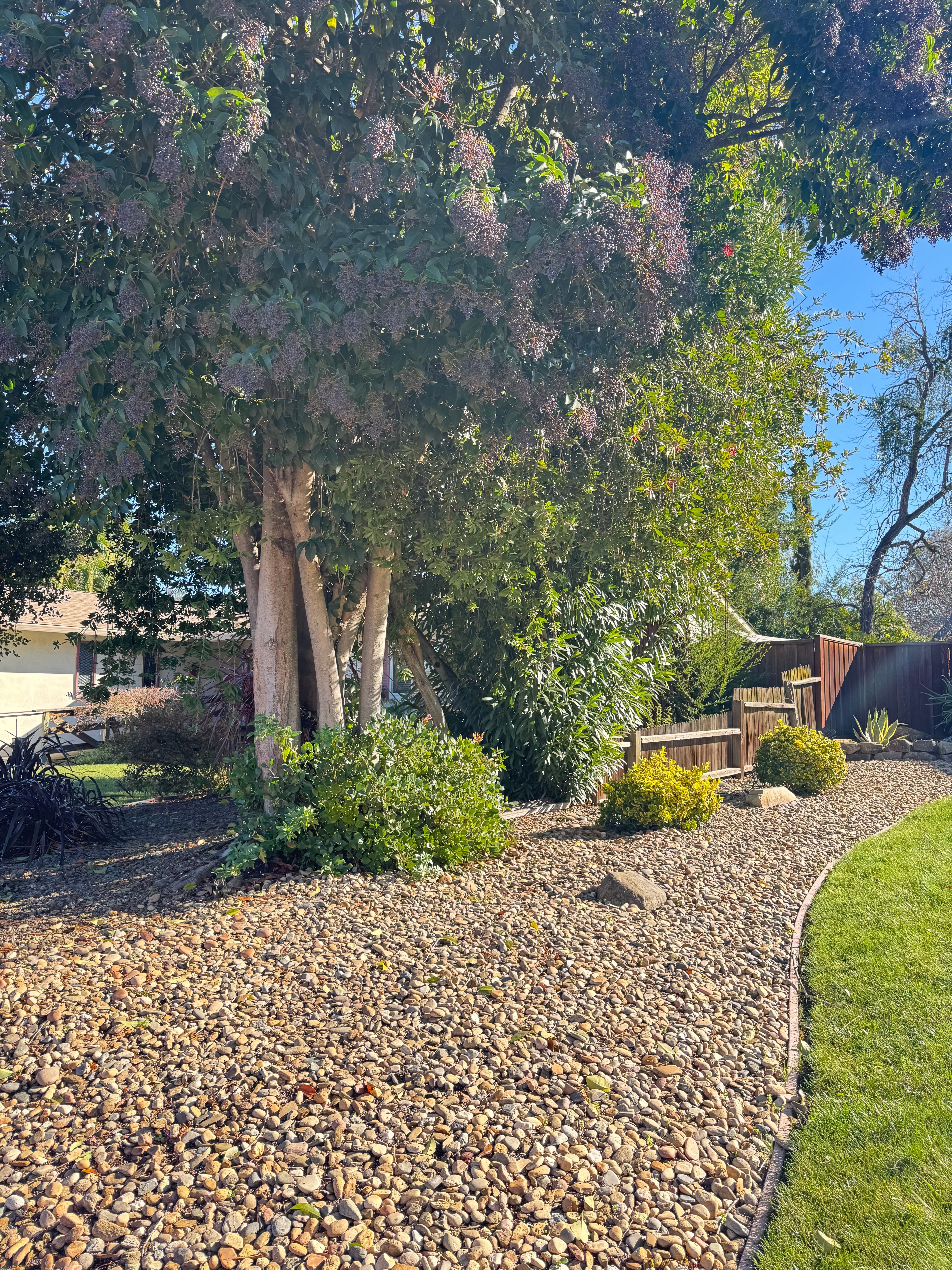 Karo Mina Care Home 4