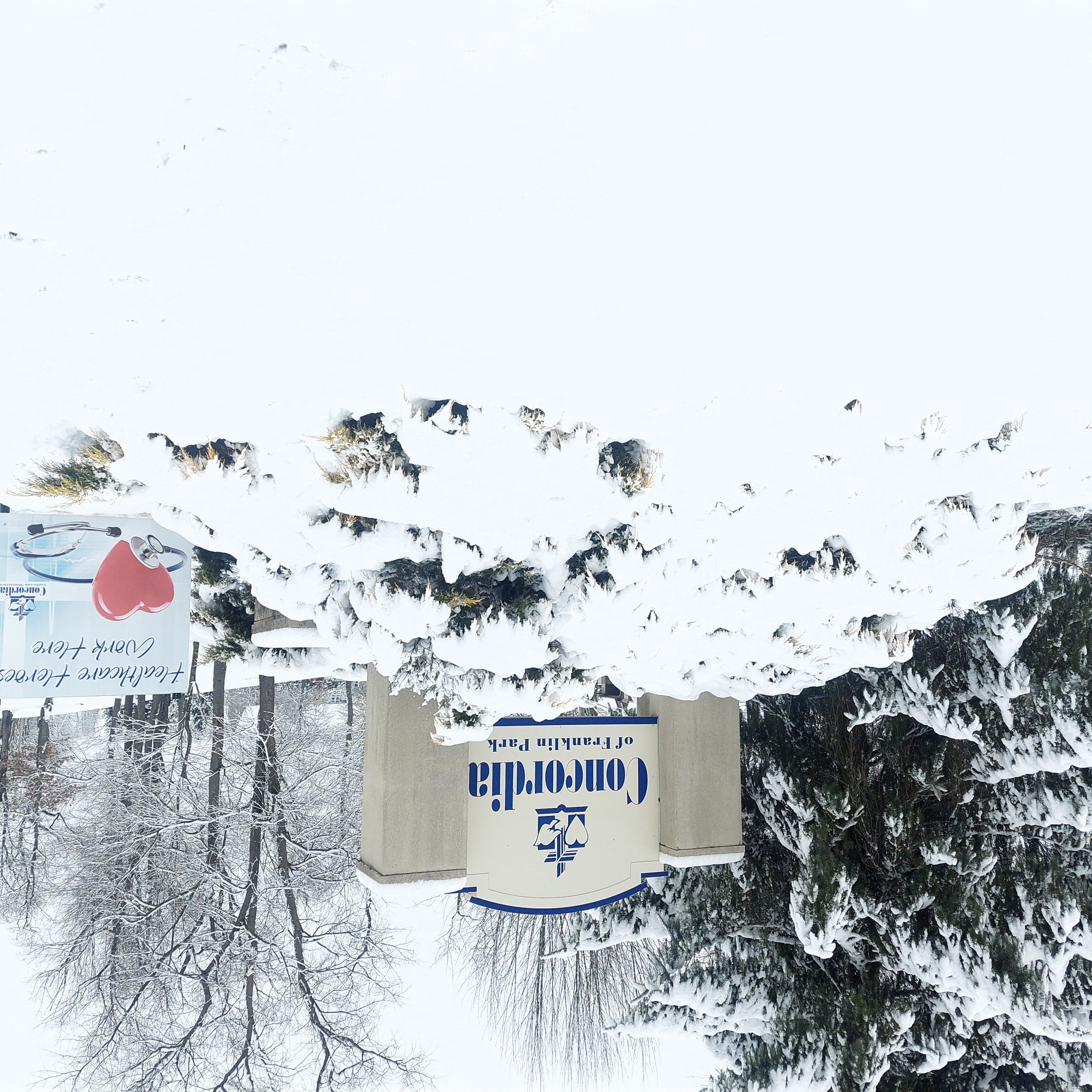 Concordia of Franklin Park 2