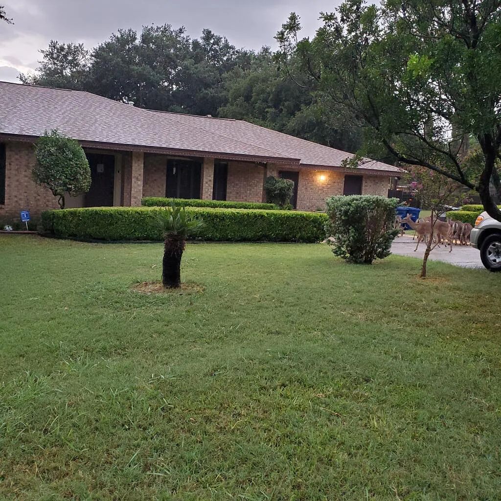Mi Casa Es Su Casa 2